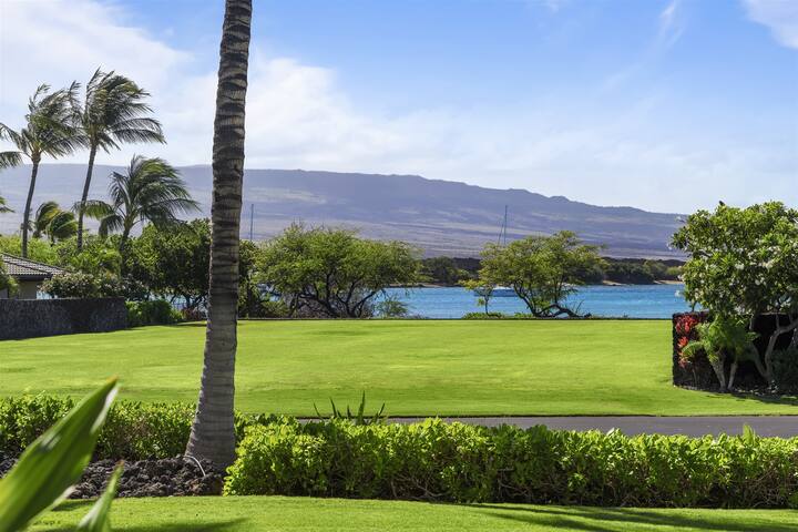 Kolea 6D (3/3) gallery image 2