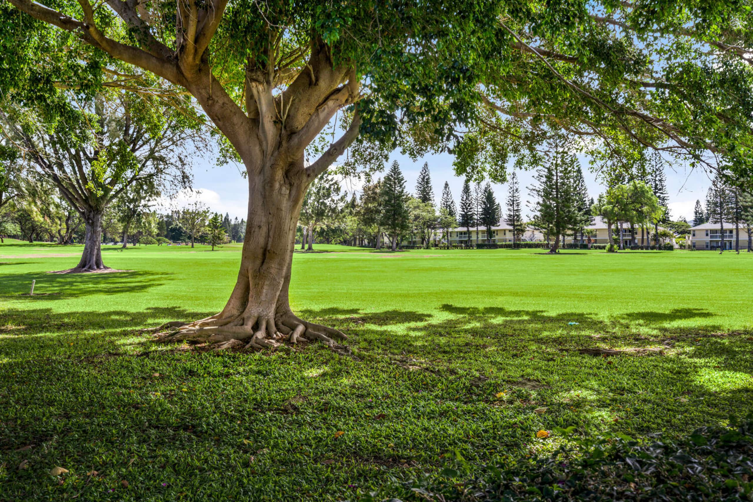 Fairway Terrace F-107 Golf Course Views & Pool - Photo 14