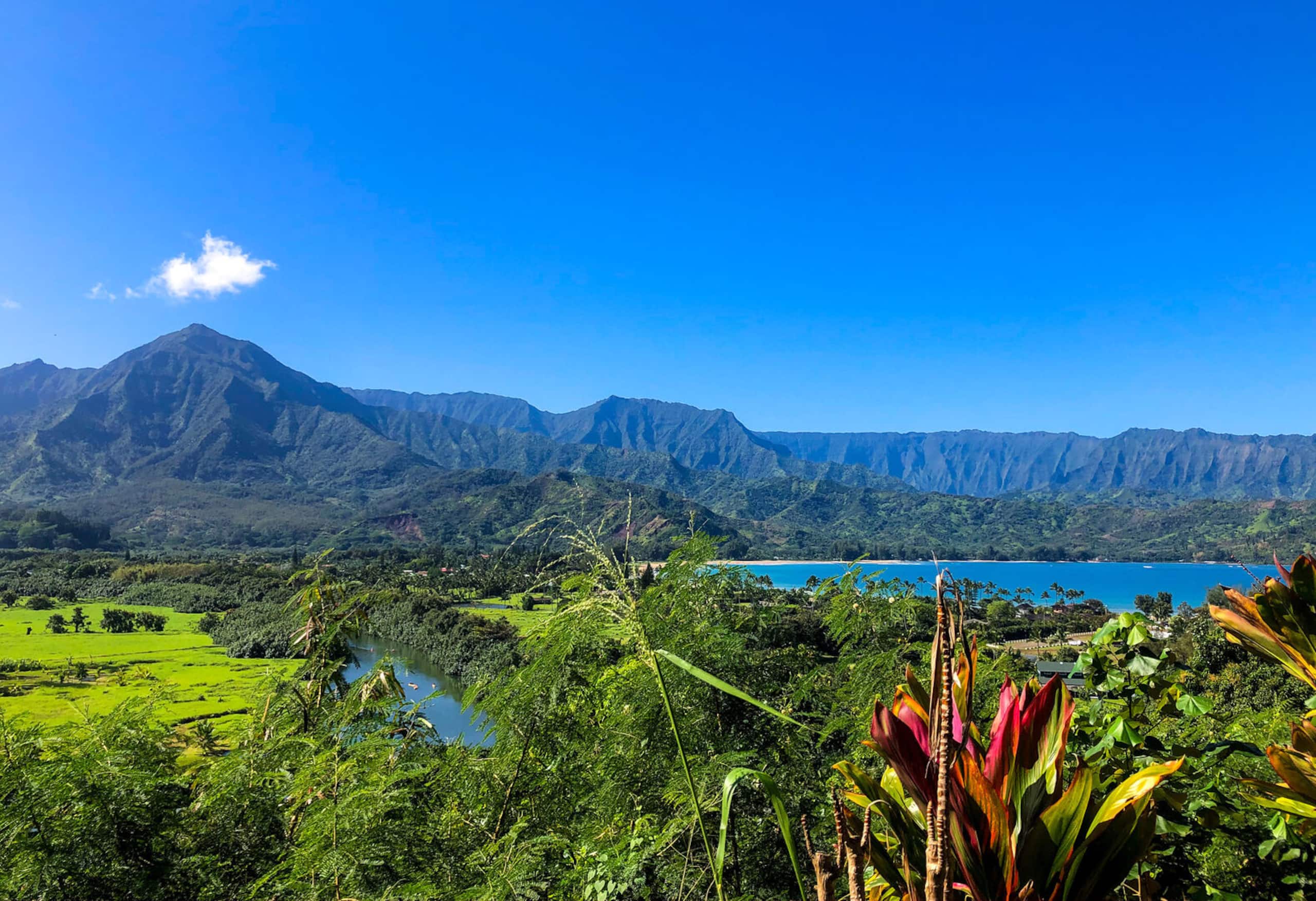 Townhouse in Princeville · ★4.95 · 3 bedrooms · 5 beds · 2.5 private baths - Image 46