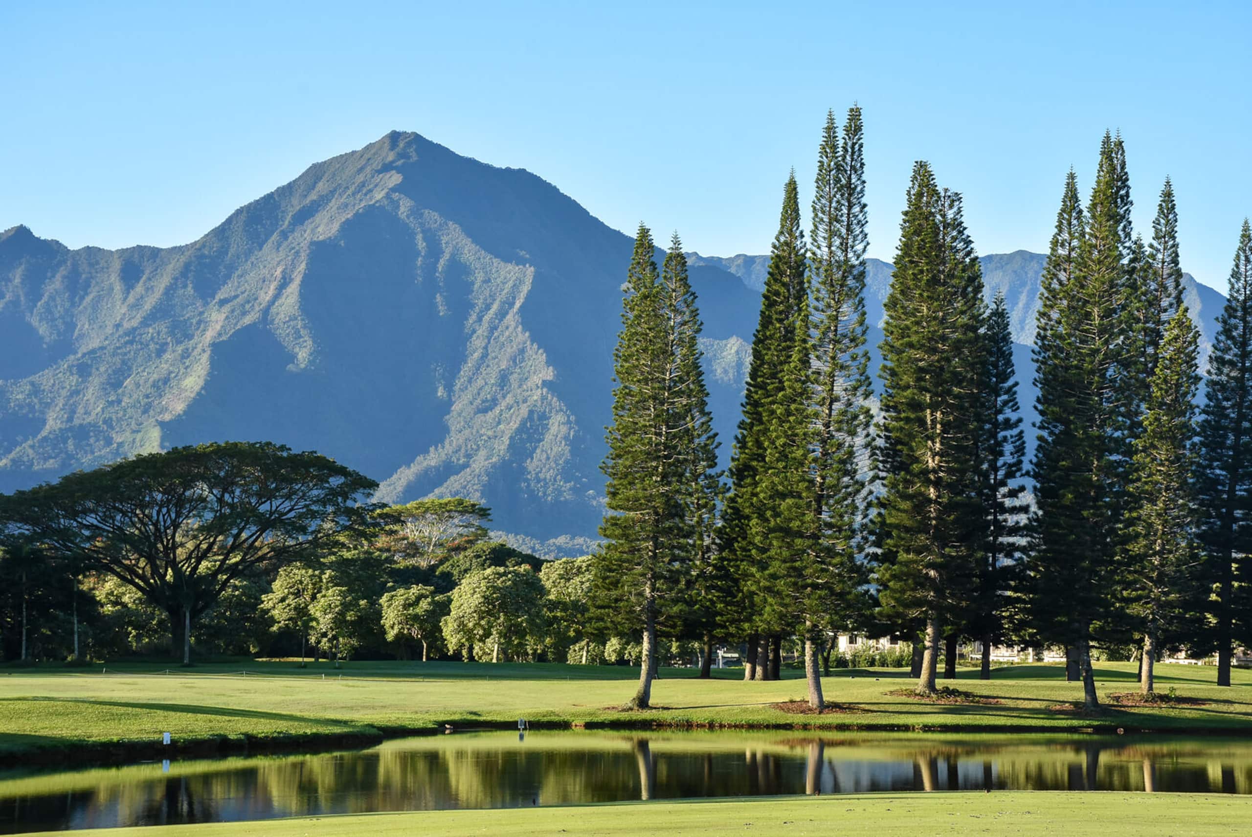 Townhouse in Princeville · ★4.95 · 3 bedrooms · 5 beds · 2.5 private baths - Image 49