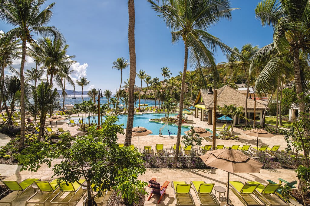 A serene outdoor area is visible, featuring a large swimming pool surrounded by lush greenery and palm trees. Lounge chairs with umbrellas are arranged neatly around the pool, and a shaded cabana stands nearby, offering a tranquil spot for relaxation.
