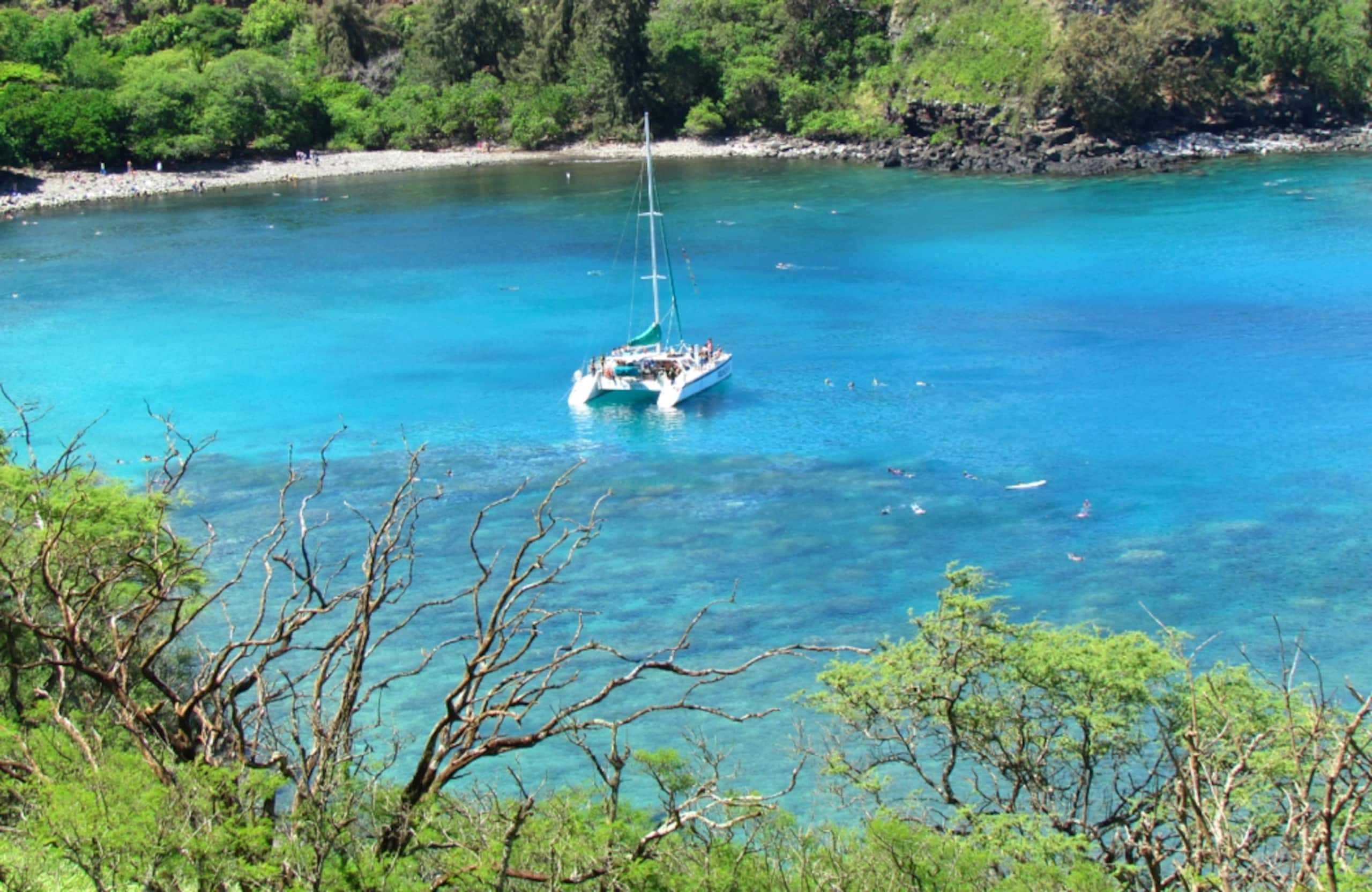 Condo in Lahaina · ★4.97 · 1 bedroom · 1 bed · 1 bath - Image 30