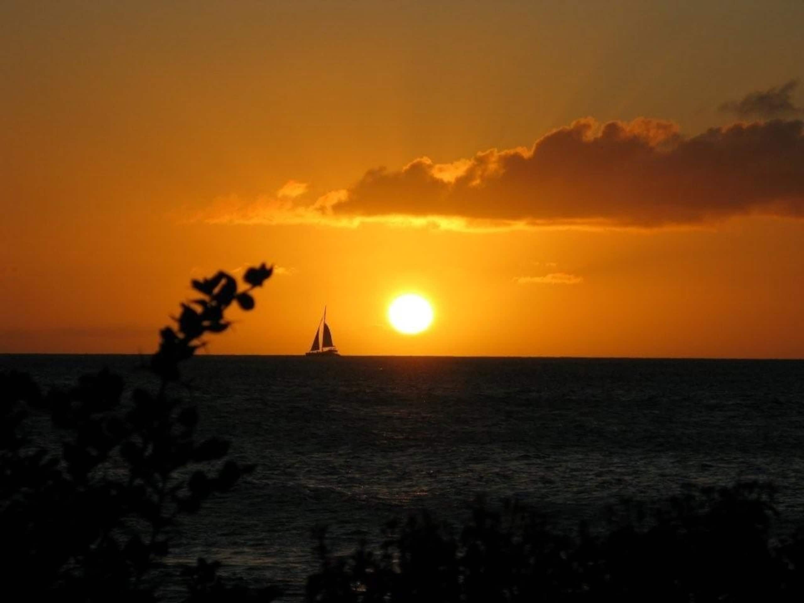Condo in Lahaina · ★4.97 · 1 bedroom · 1 bed · 1 bath - Image 33