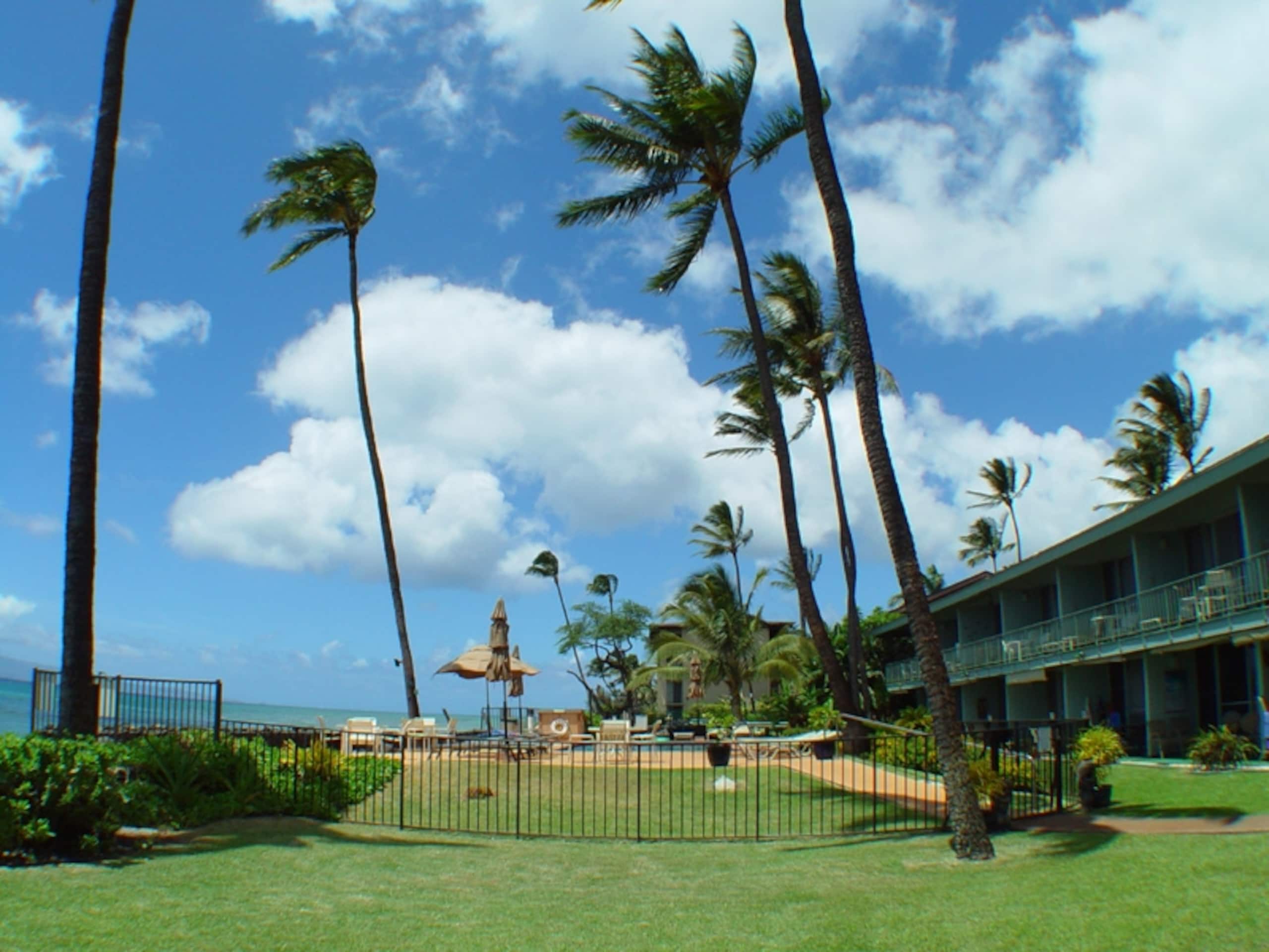 Condo in Lahaina · ★4.97 · 1 bedroom · 1 bed · 1 bath - Image 24