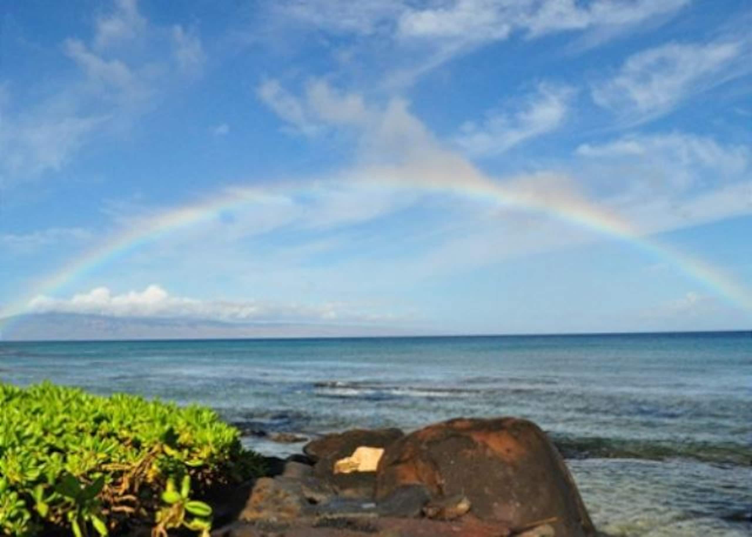 Condo in Lahaina · ★4.97 · 1 bedroom · 1 bed · 1 bath - Image 32