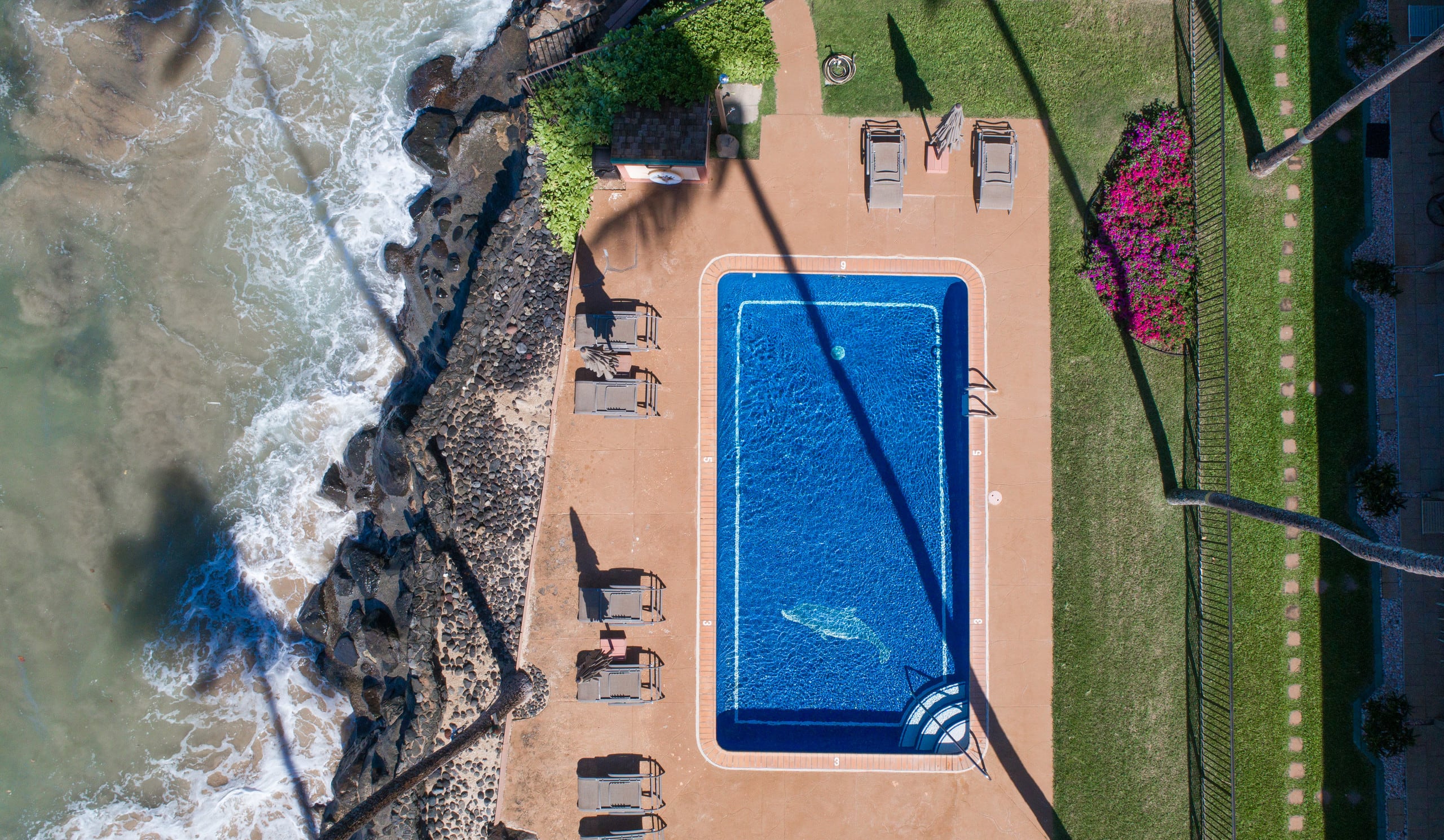 Condo in Lahaina · ★4.97 · 1 bedroom · 1 bed · 1 bath - Image 28