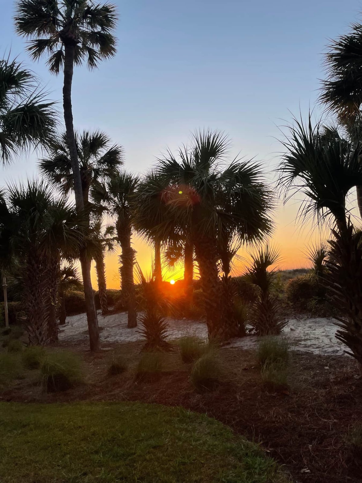 Sunset is captured through a cluster of palm trees, creating a warm glow against the backdrop of the sandy beach. The scene highlights the silhouettes of the trees as the day transitions to twilight, offering a serene and tranquil atmosphere.