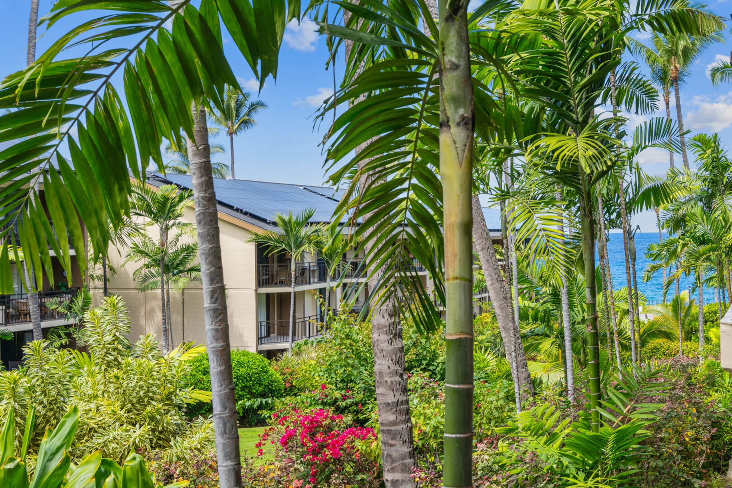 Condo in Kailua-Kona · ★4.63 · 1 bedroom · 2 beds · 1 private bath - Image 21