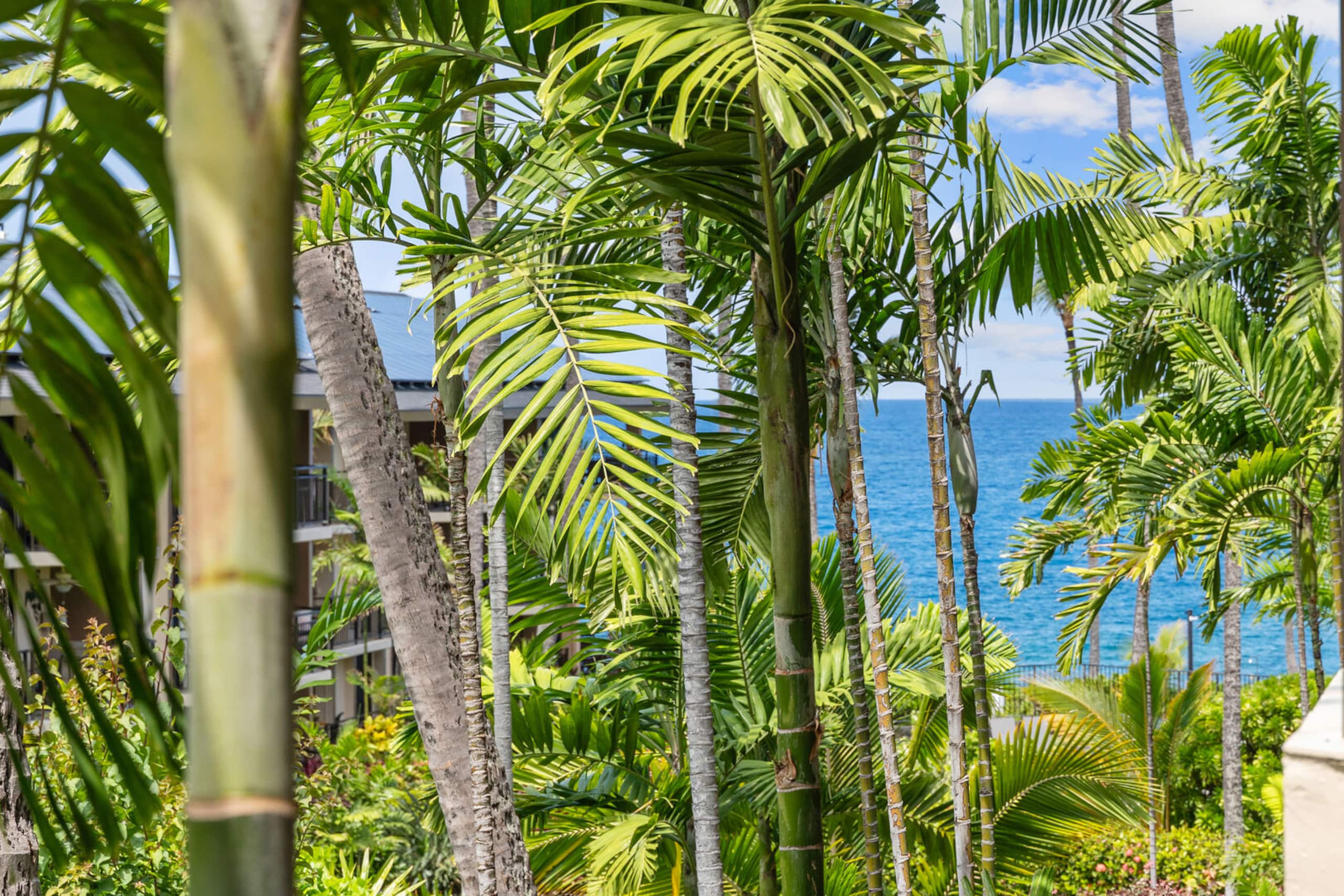 Condo in Kailua-Kona · ★4.63 · 1 bedroom · 2 beds · 1 private bath - Image 26
