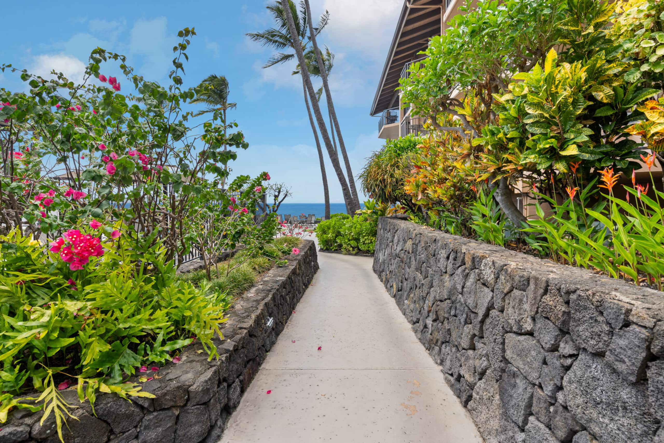 Condo in Kailua-Kona · ★4.63 · 1 bedroom · 2 beds · 1 private bath - Image 18