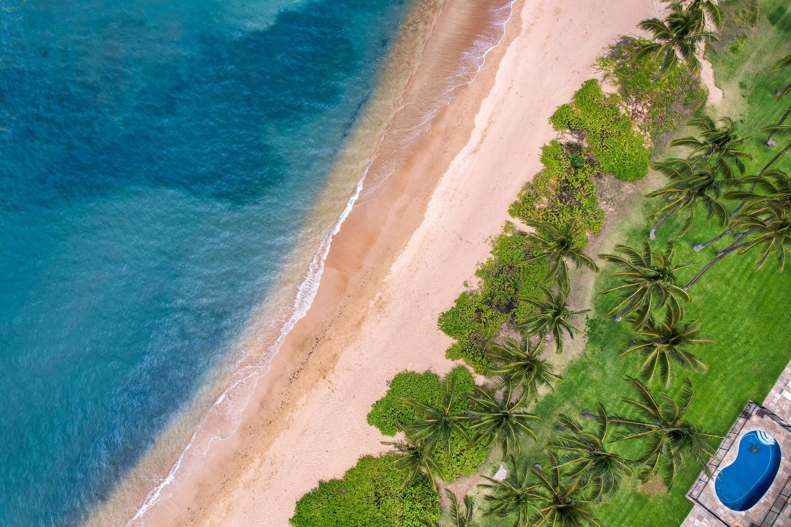Condo in Kihei · ★4.91 · 2 bedrooms · 3 beds · 2 private baths - Image 47