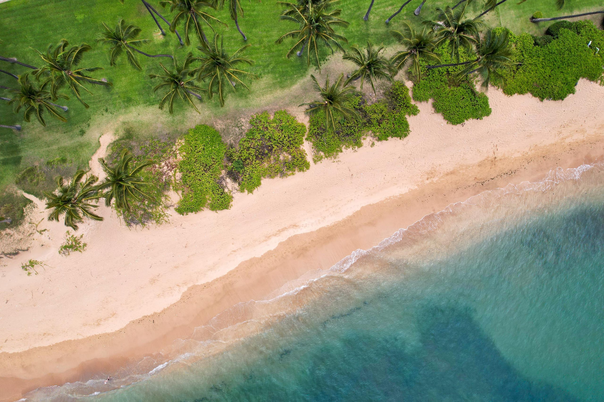 Condo in Kihei · ★4.91 · 2 bedrooms · 3 beds · 2 private baths - Image 22