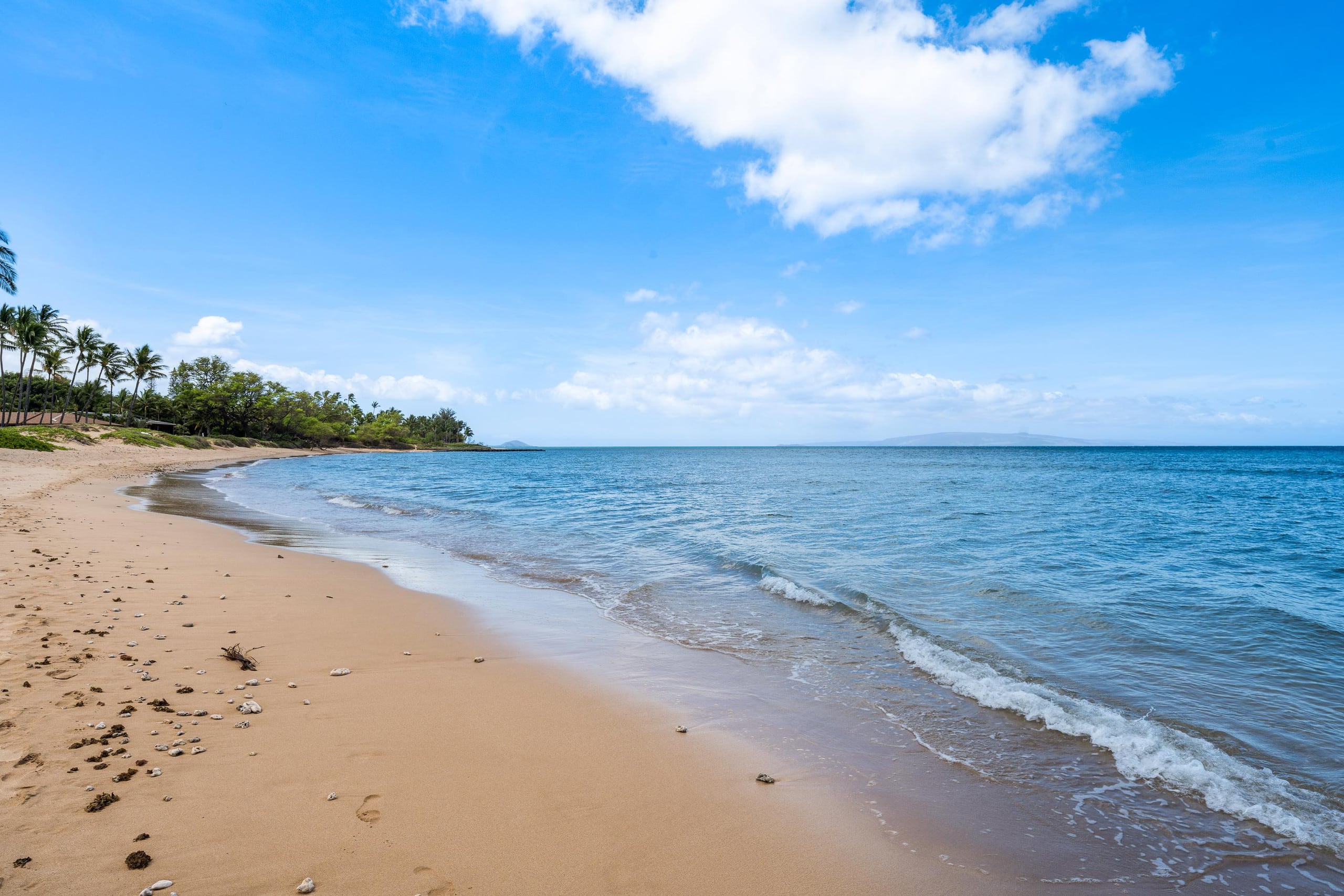 Condo in Kihei · ★4.91 · 2 bedrooms · 3 beds · 2 private baths - Image 8