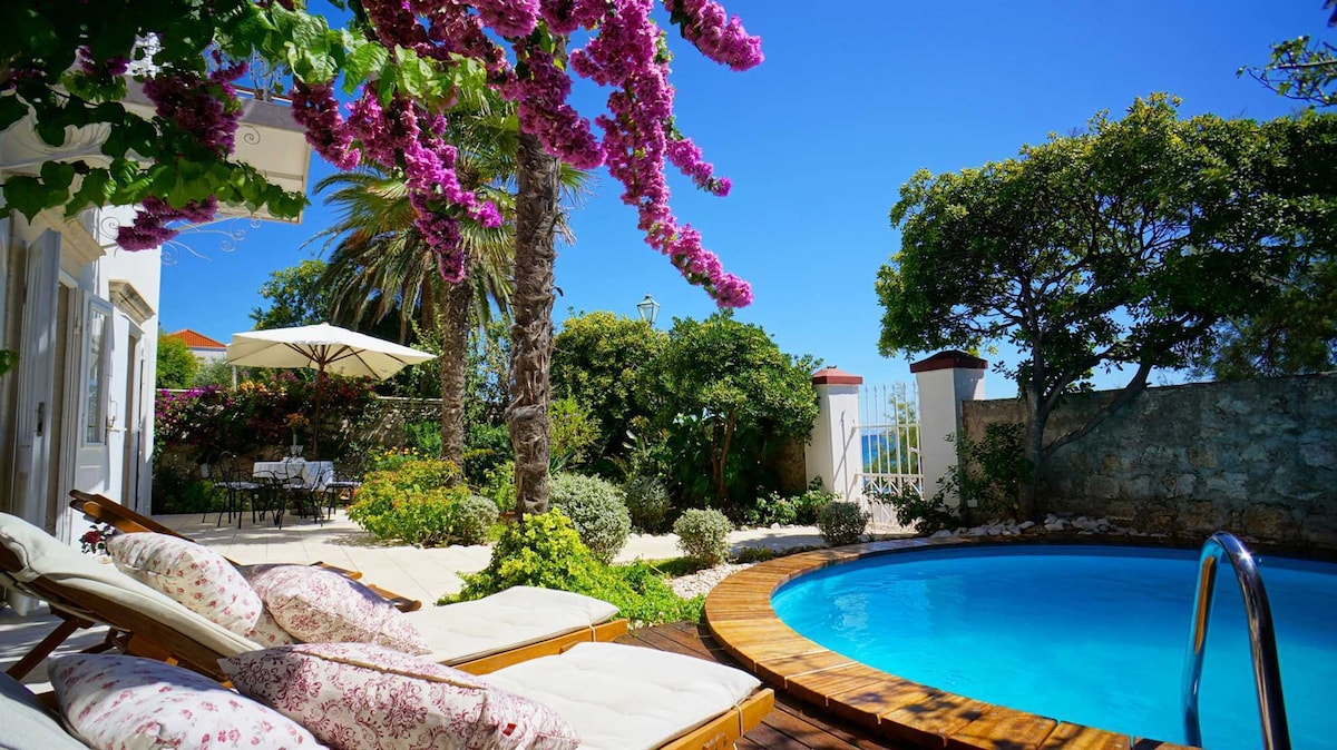 A vibrant outdoor space features a refreshing pool surrounded by lush greenery. Comfortable sun loungers with floral cushions are positioned beside the pool, while a large umbrella offers shade. The garden is adorned with blooming bougainvillea and offers a peaceful atmosphere.