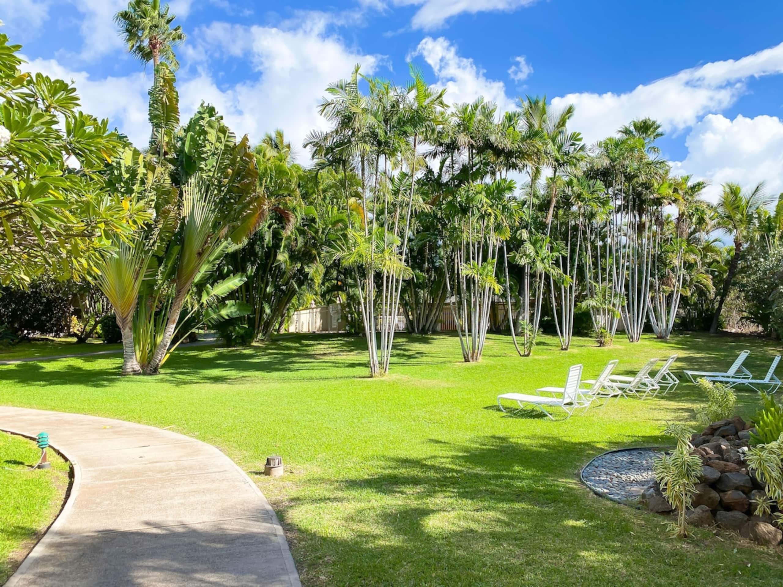 Condo in Kihei · ★4.7 · 1 bedroom · 2 beds · 1 bath - Image 23