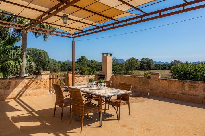 Xaloc gallery image 5