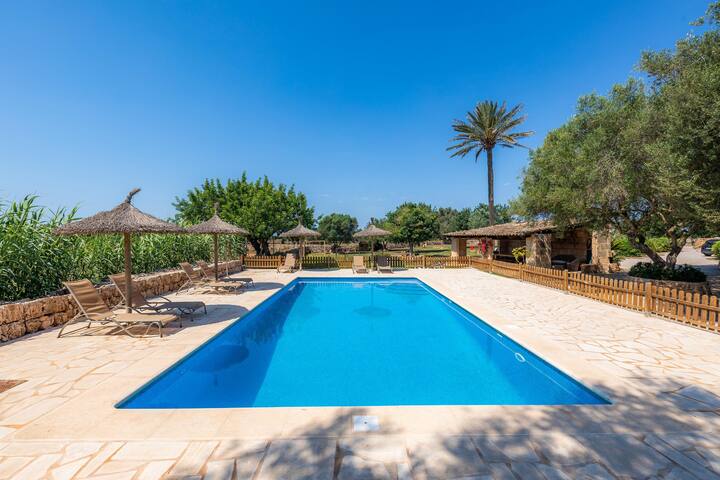 Xaloc gallery image 2