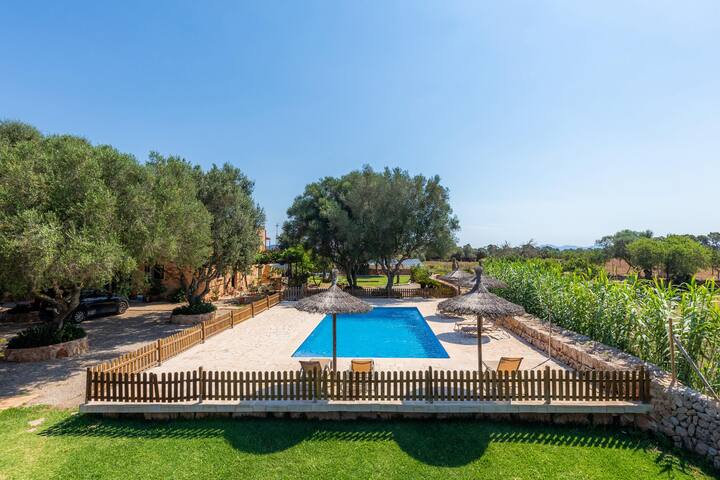 Xaloc gallery image 3