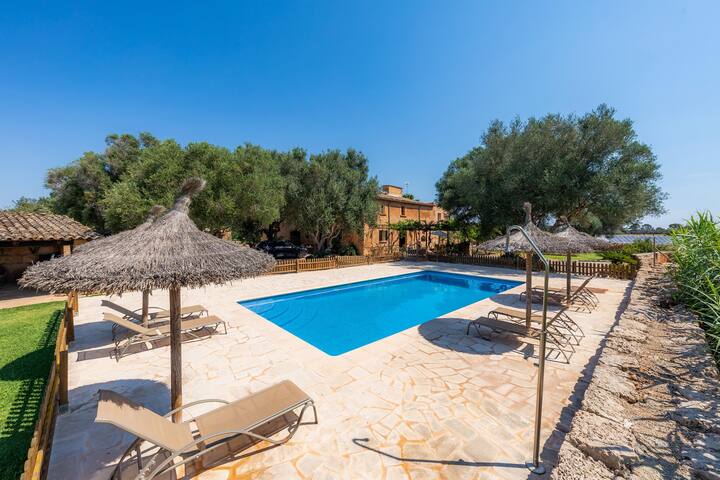 Llevant gallery image 2