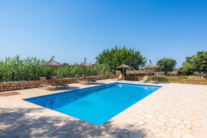 Llevant gallery image 3