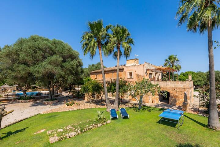 Ponent gallery image 2