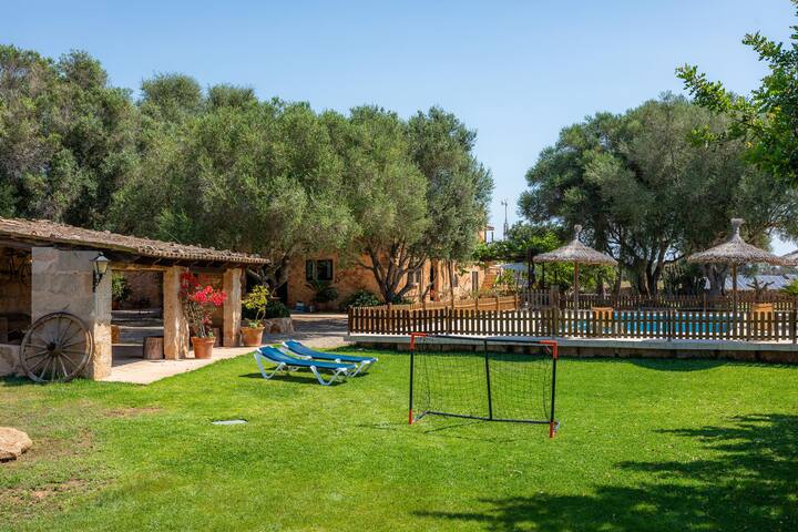 Ponent gallery image 5