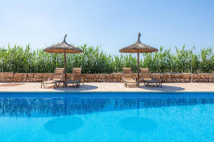 Ponent gallery image 4