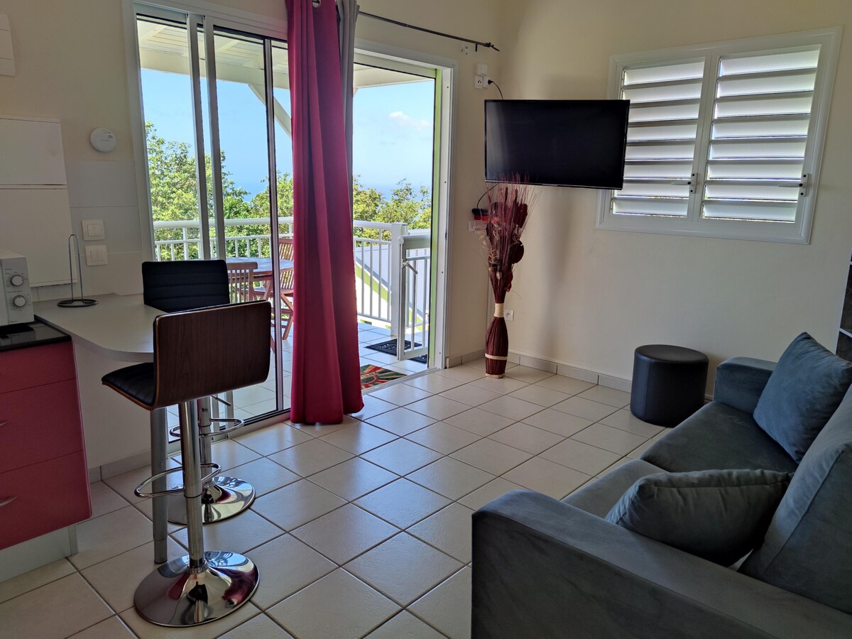 TV kutak Zozio Kréyol smještaja za odmor u Pointe Noireu, Guadeloupe