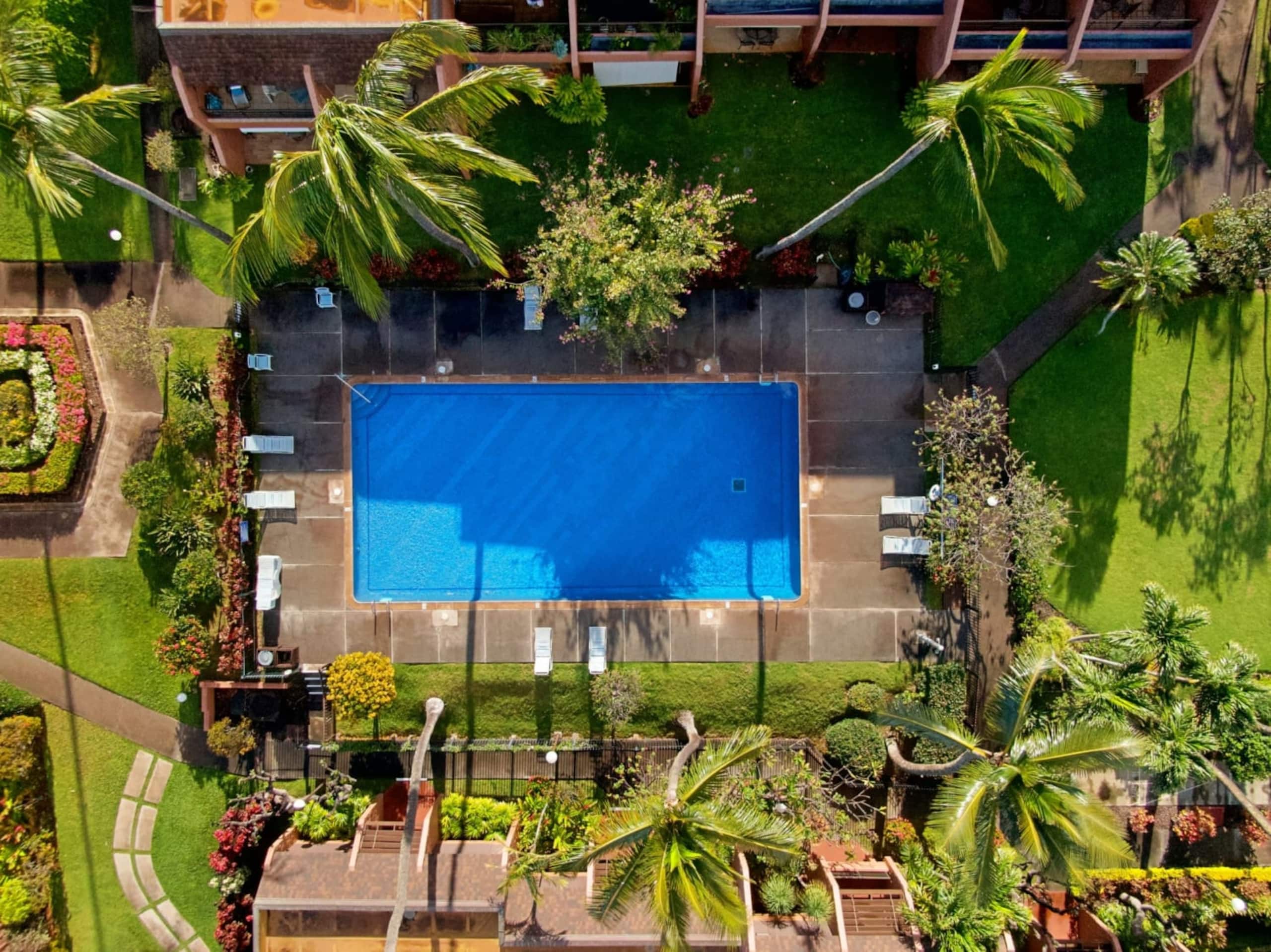 Condo in Lahaina · ★4.86 · 1 bedroom · 2 beds · 1 private bath - Image 18