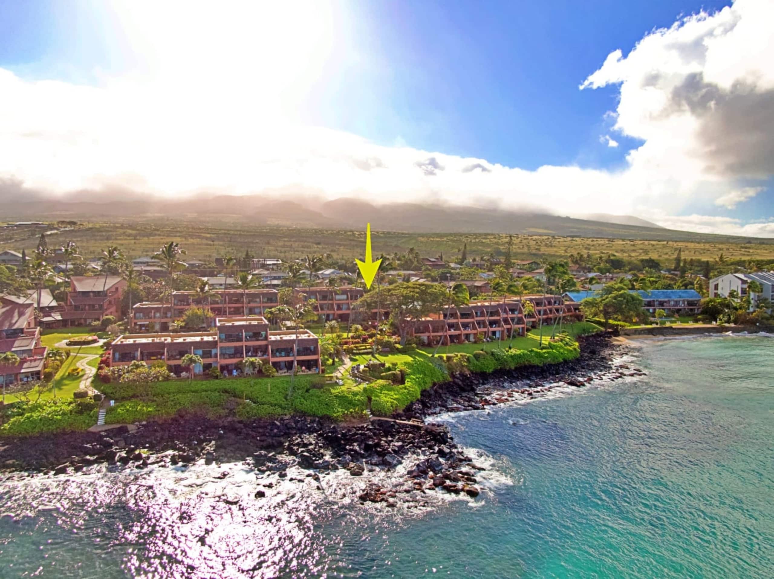 Condo in Lahaina · ★4.86 · 1 bedroom · 2 beds · 1 private bath - Image 14