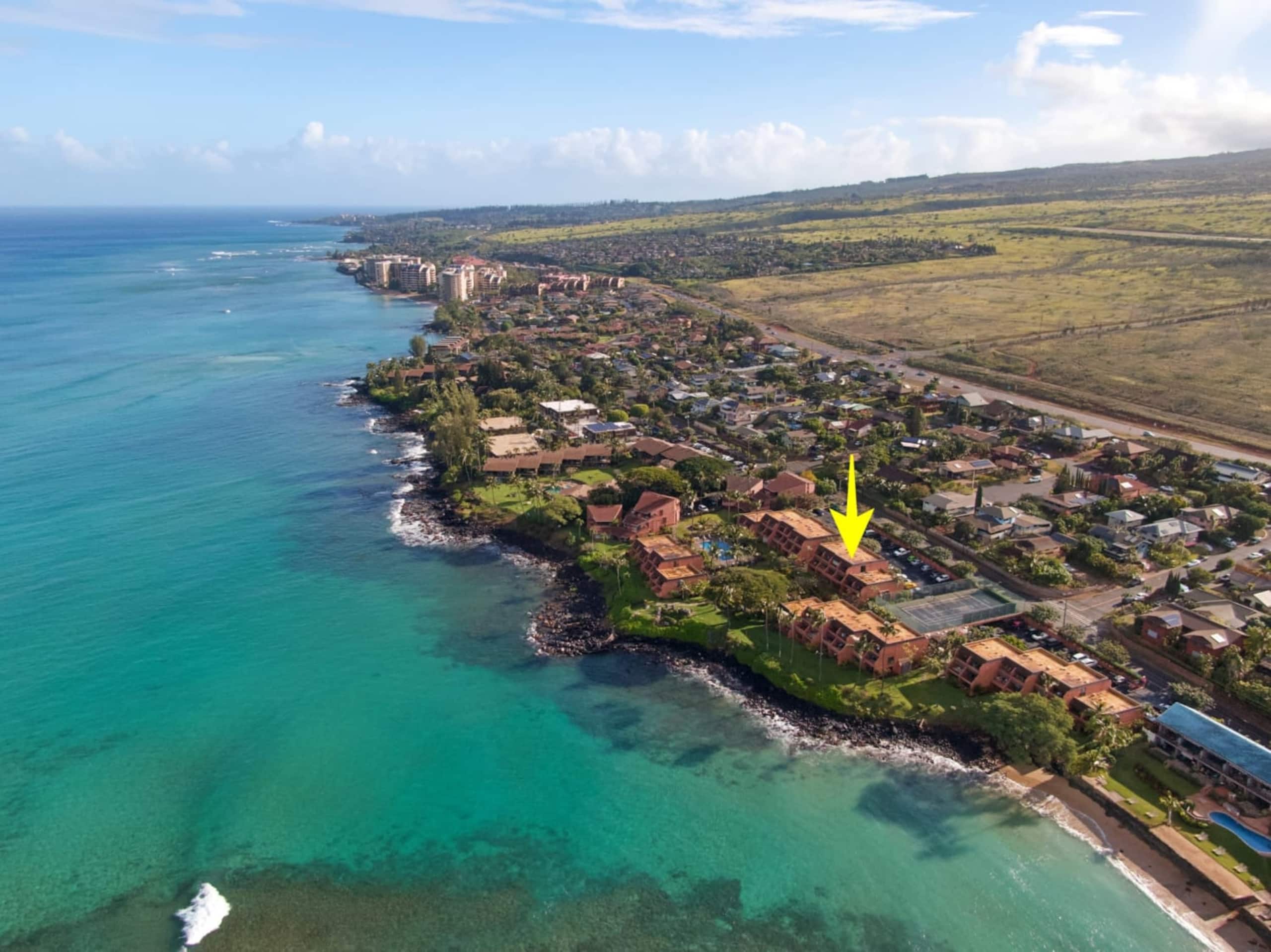 Condo in Lahaina · ★4.86 · 1 bedroom · 2 beds · 1 private bath - Image 13
