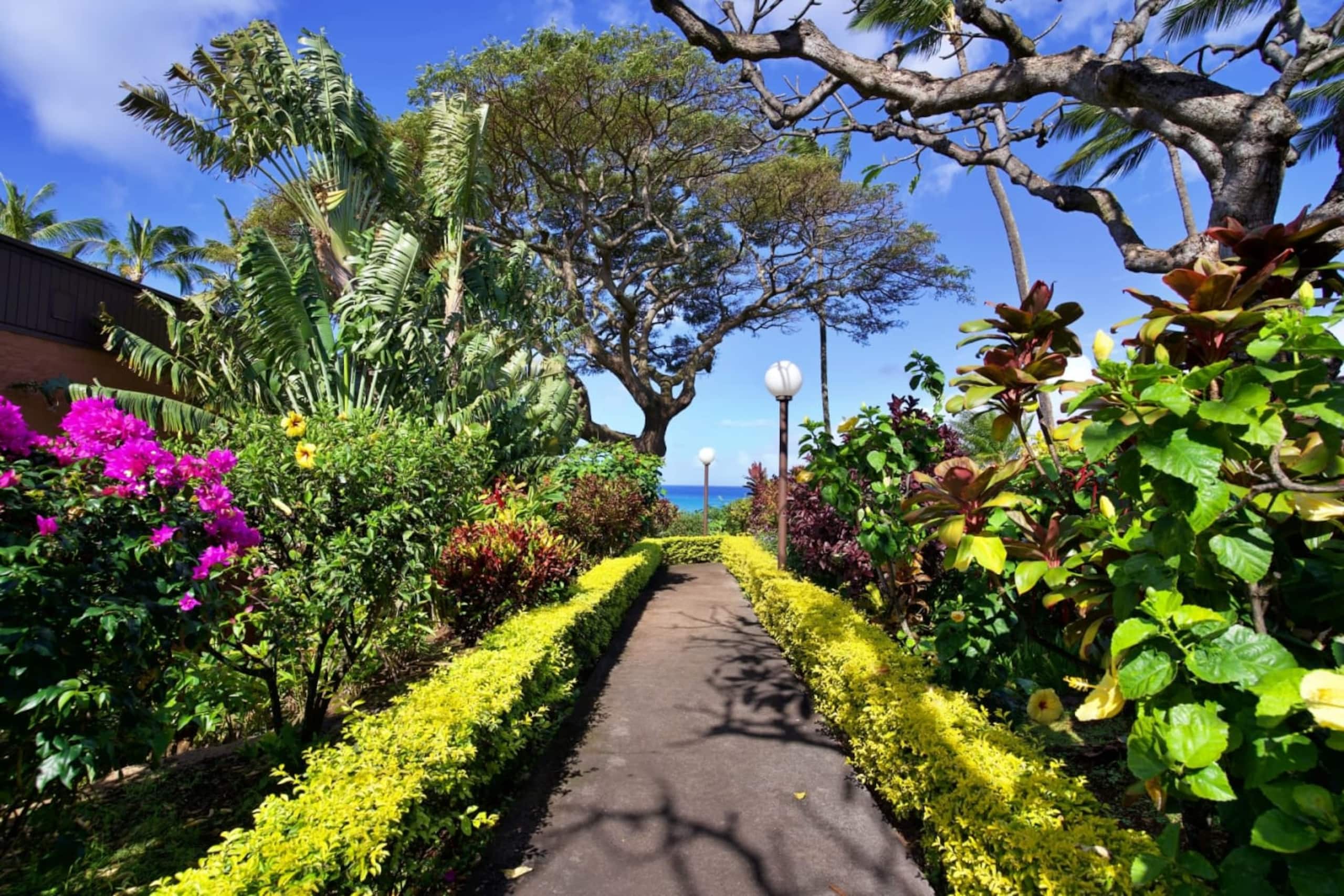 Condo in Lahaina · ★4.86 · 1 bedroom · 2 beds · 1 private bath - Image 9