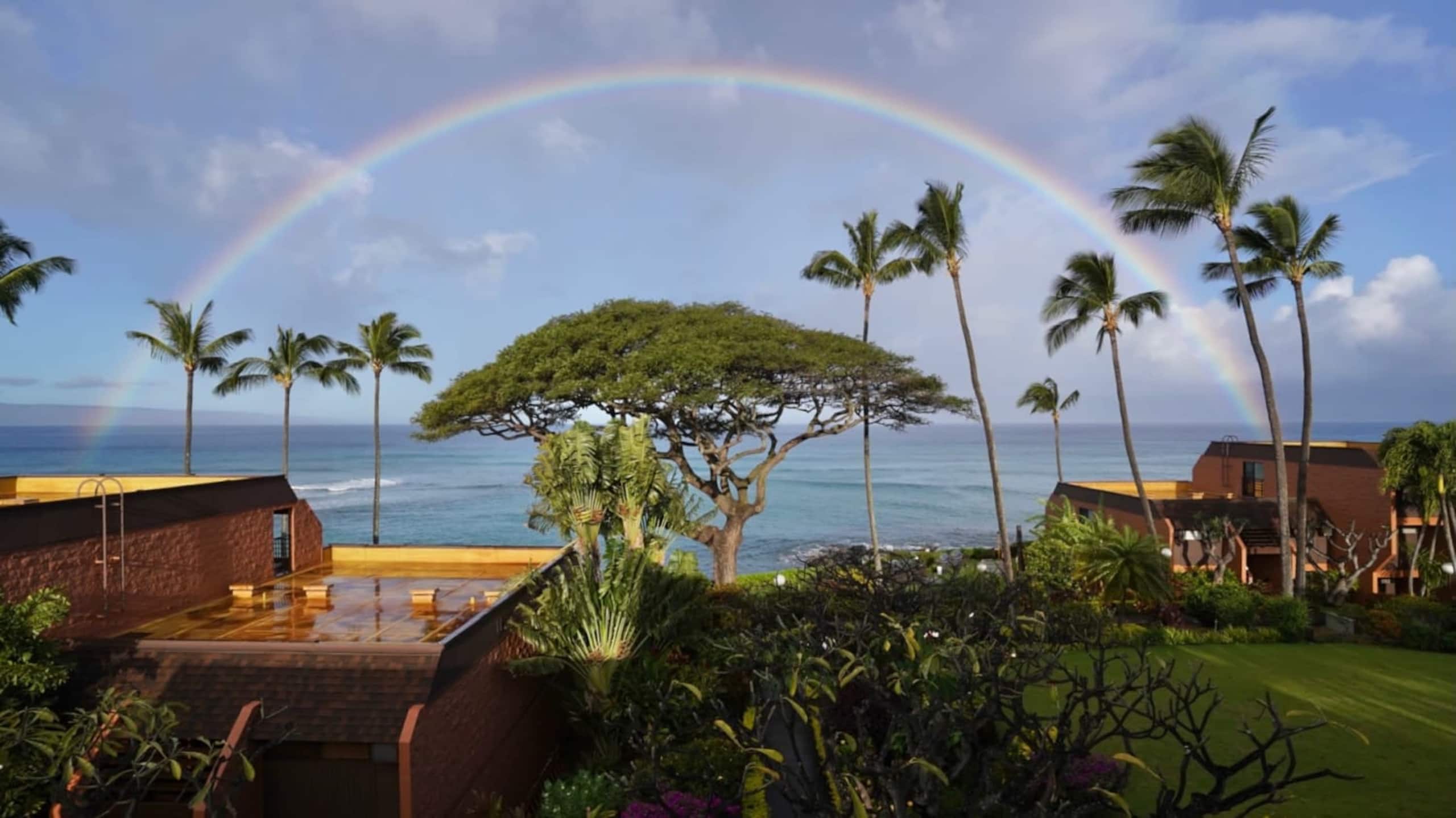 Condo in Lahaina · ★4.86 · 1 bedroom · 2 beds · 1 private bath - Image 1