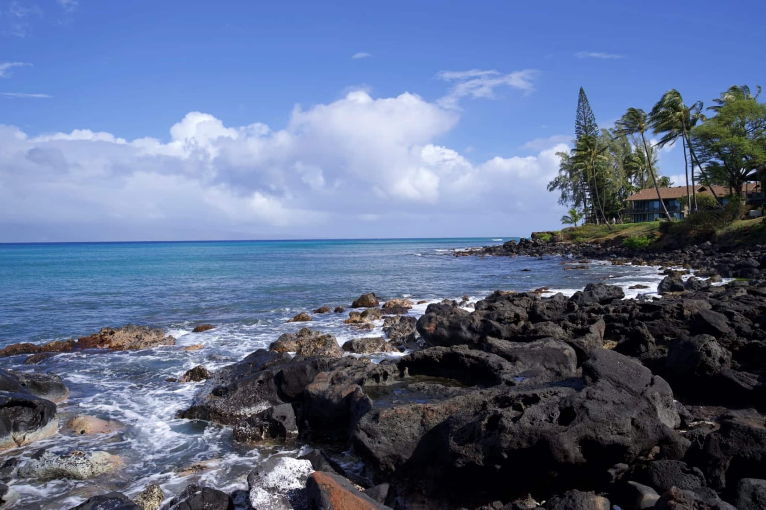 Condo in Lahaina · ★4.86 · 1 bedroom · 2 beds · 1 private bath - Image 26