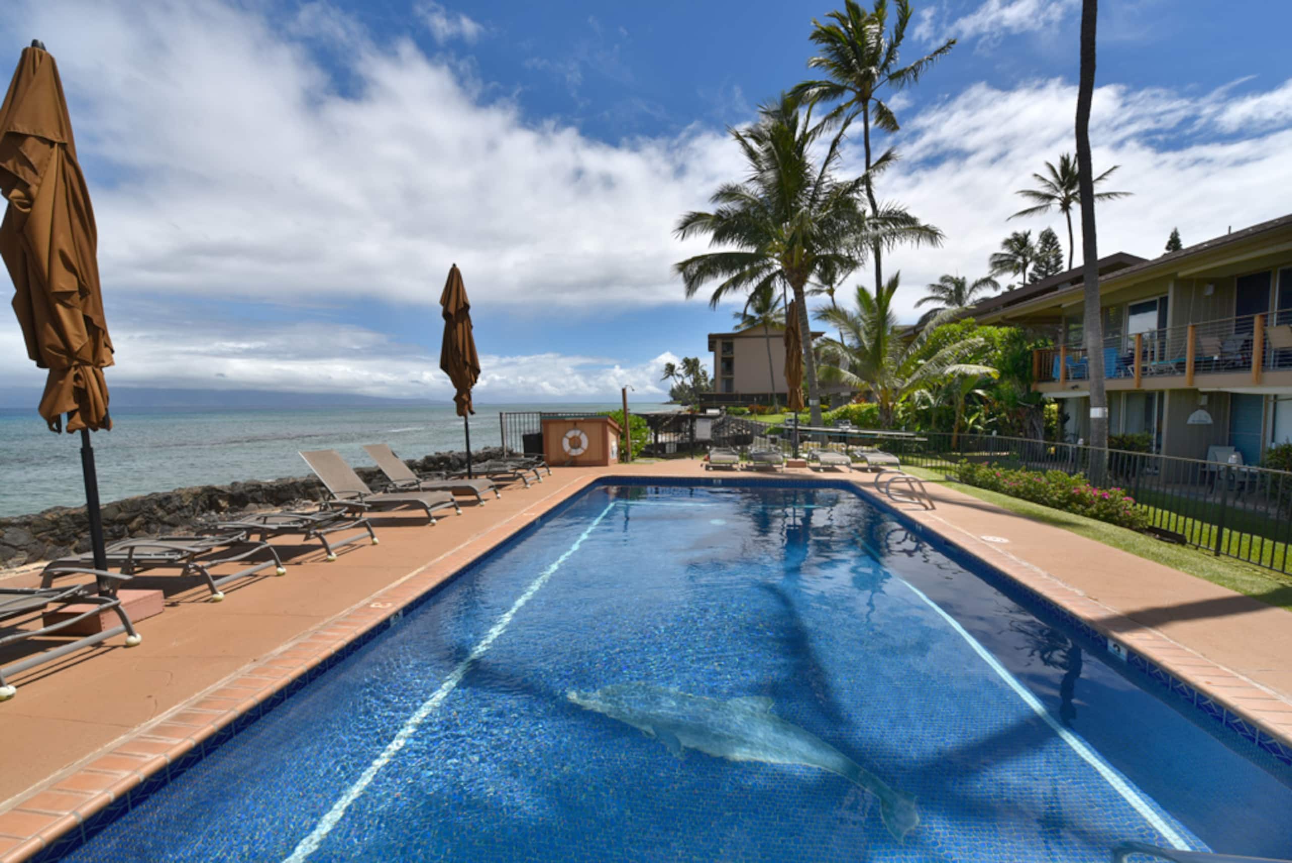 Condo in Lahaina · ★4.79 · 2 bedrooms · 3 beds · 1 private bath - Image 17