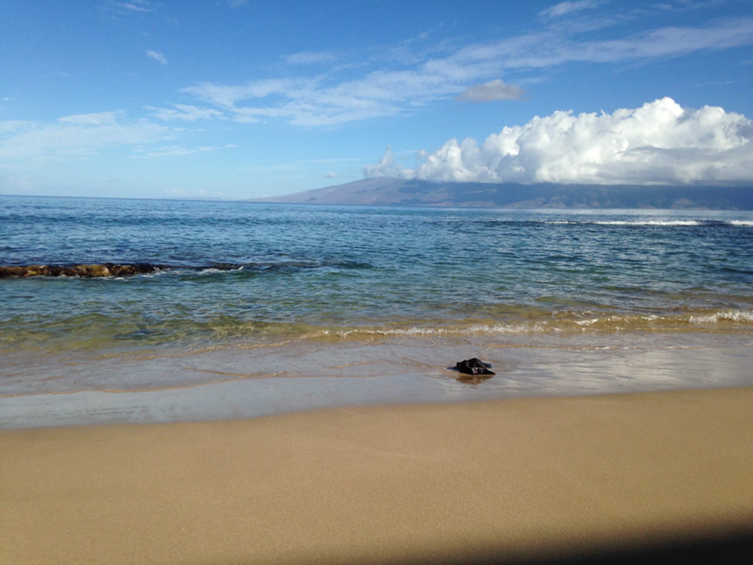 Condo in Lahaina · ★4.79 · 2 bedrooms · 3 beds · 1 private bath - Image 35