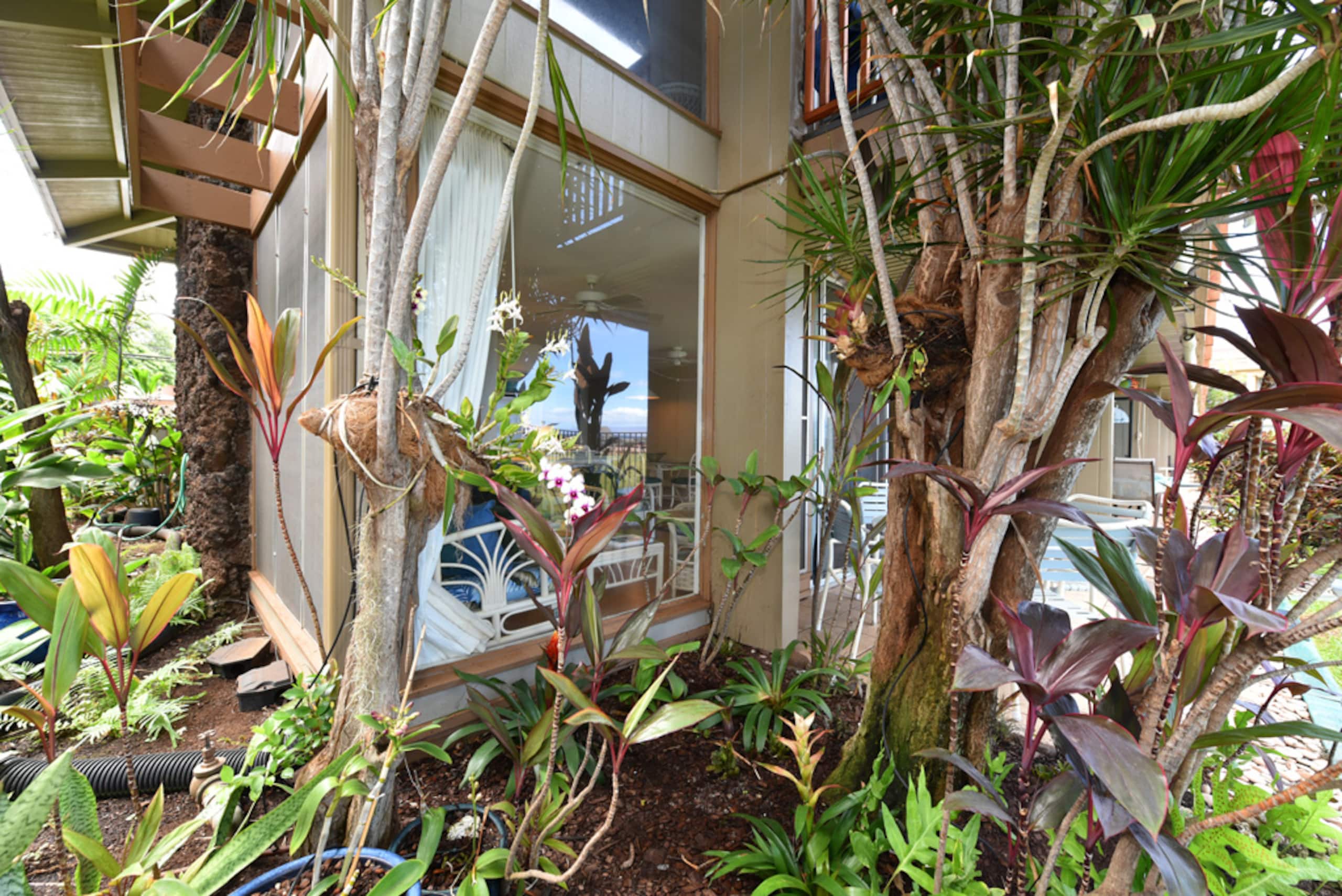 Condo in Lahaina · ★4.79 · 2 bedrooms · 3 beds · 1 private bath - Image 29