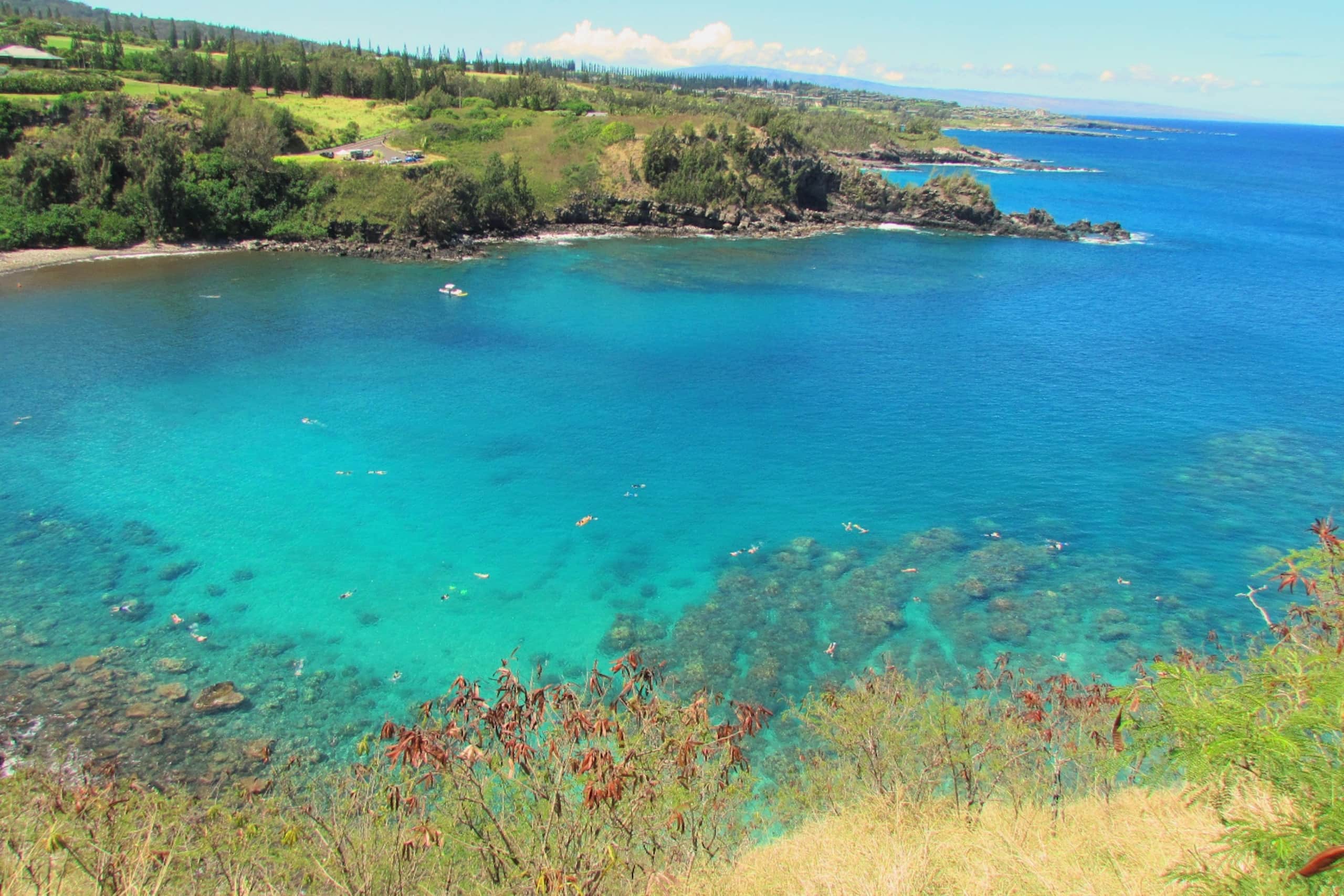 Condo in Lahaina · ★4.78 · 1 bedroom · 1 bed · 1 private bath - Image 27