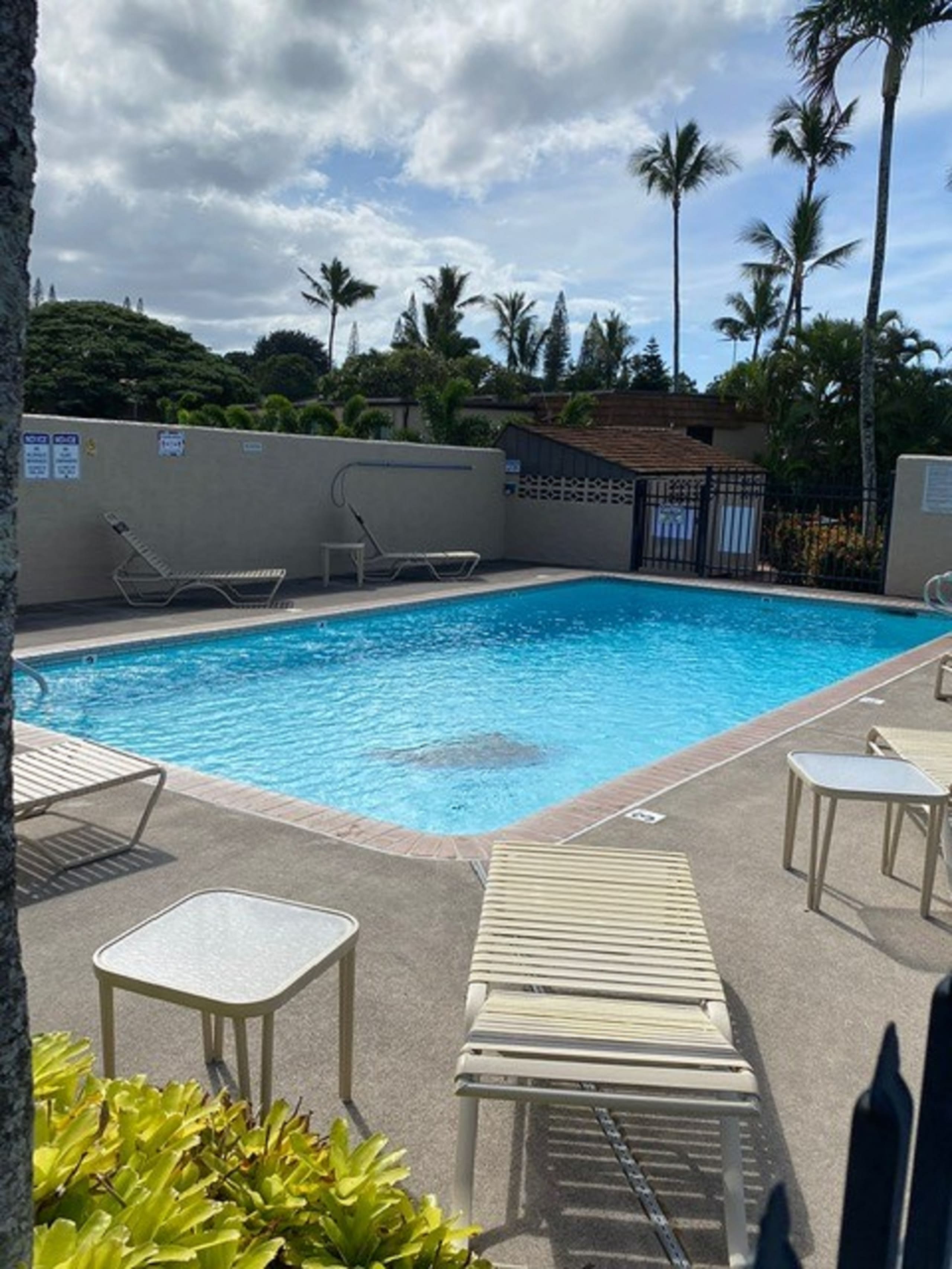 Condo in Lahaina · ★4.69 · 1 bedroom · 2 beds · 1 private bath - Image 24