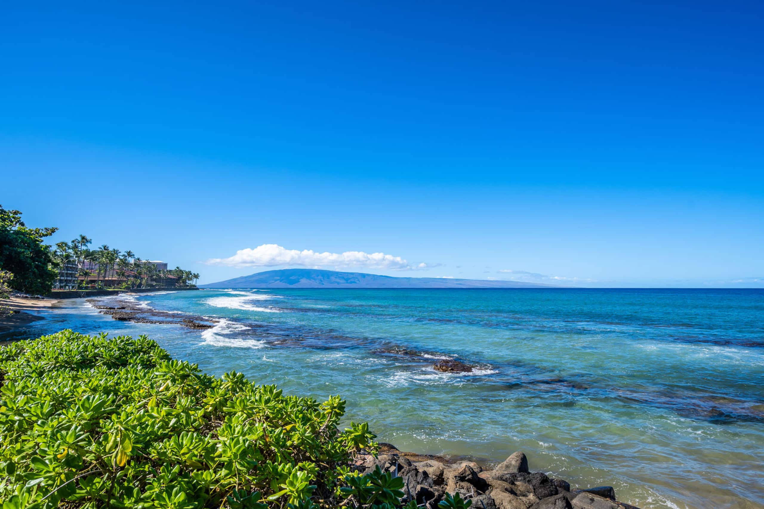 Condo in Lahaina · ★4.65 · 3 bedrooms · 4 beds · 2 baths - Image 32
