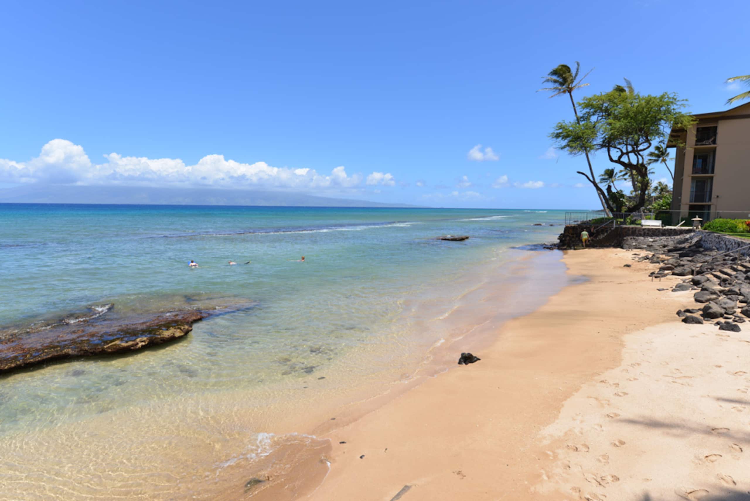 Condo in Lahaina · ★4.77 · 2 bedrooms · 5 beds · 1 bath - Image 32