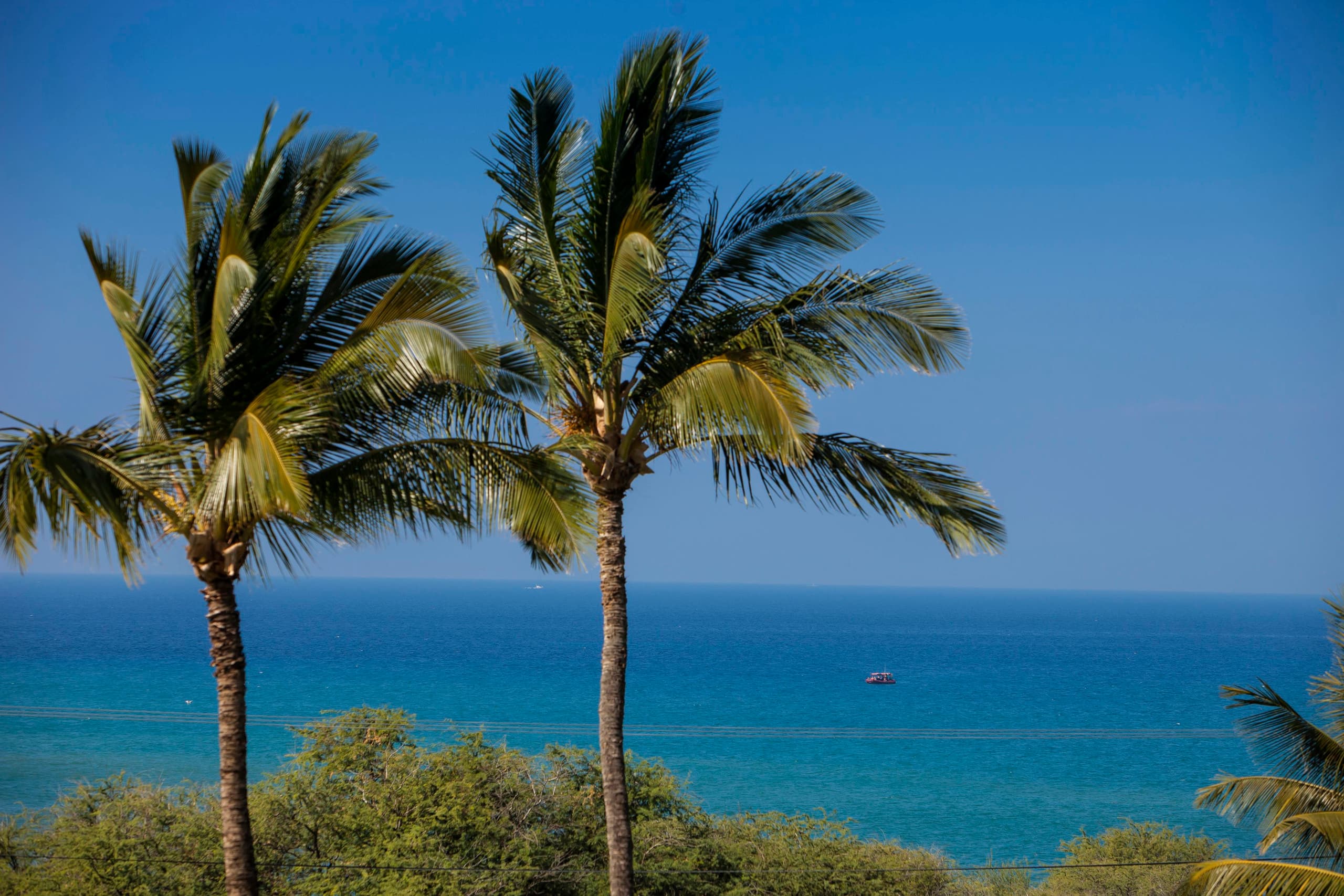 Condo in Kihei · ★5.0 · 1 bedroom · 2 beds · 2 baths - Image 43