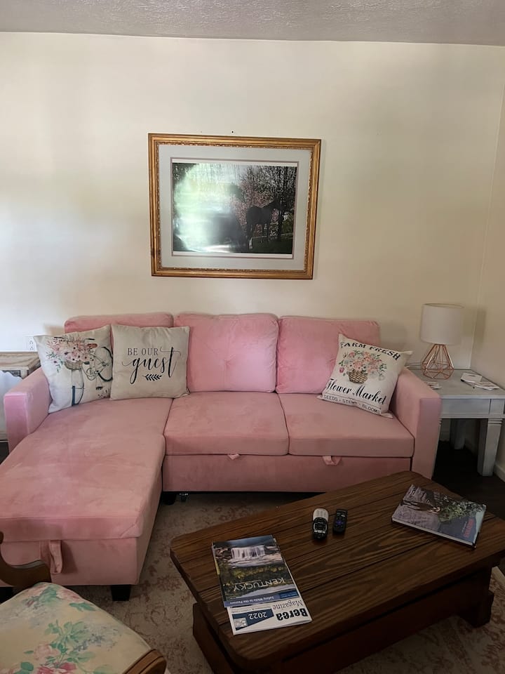 Kochi la sebule linatoka kwenye kitanda kamili.