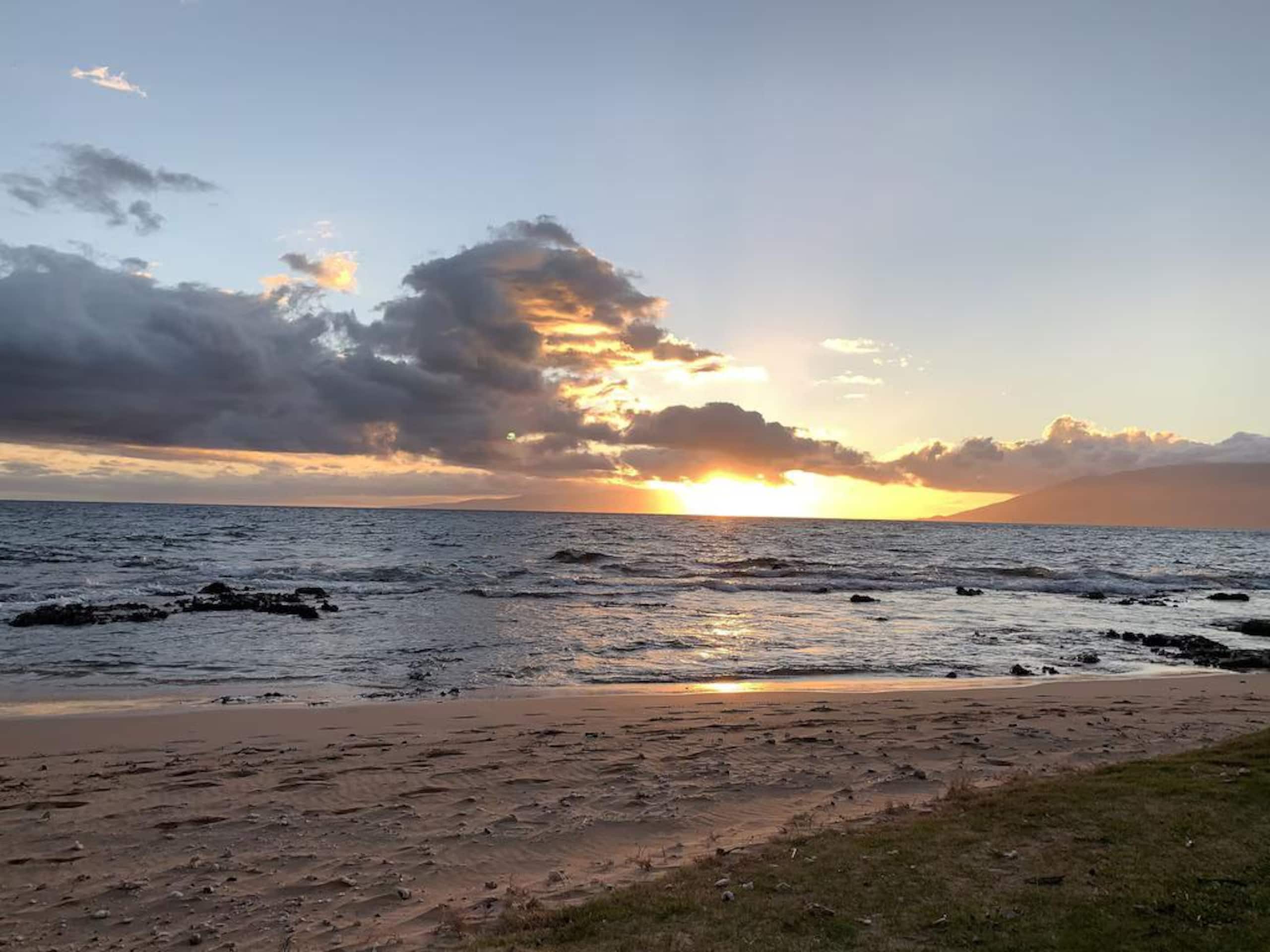 Condo in Kihei · ★4.83 · 1 bedroom · 1 bed · 1 bath - Image 16