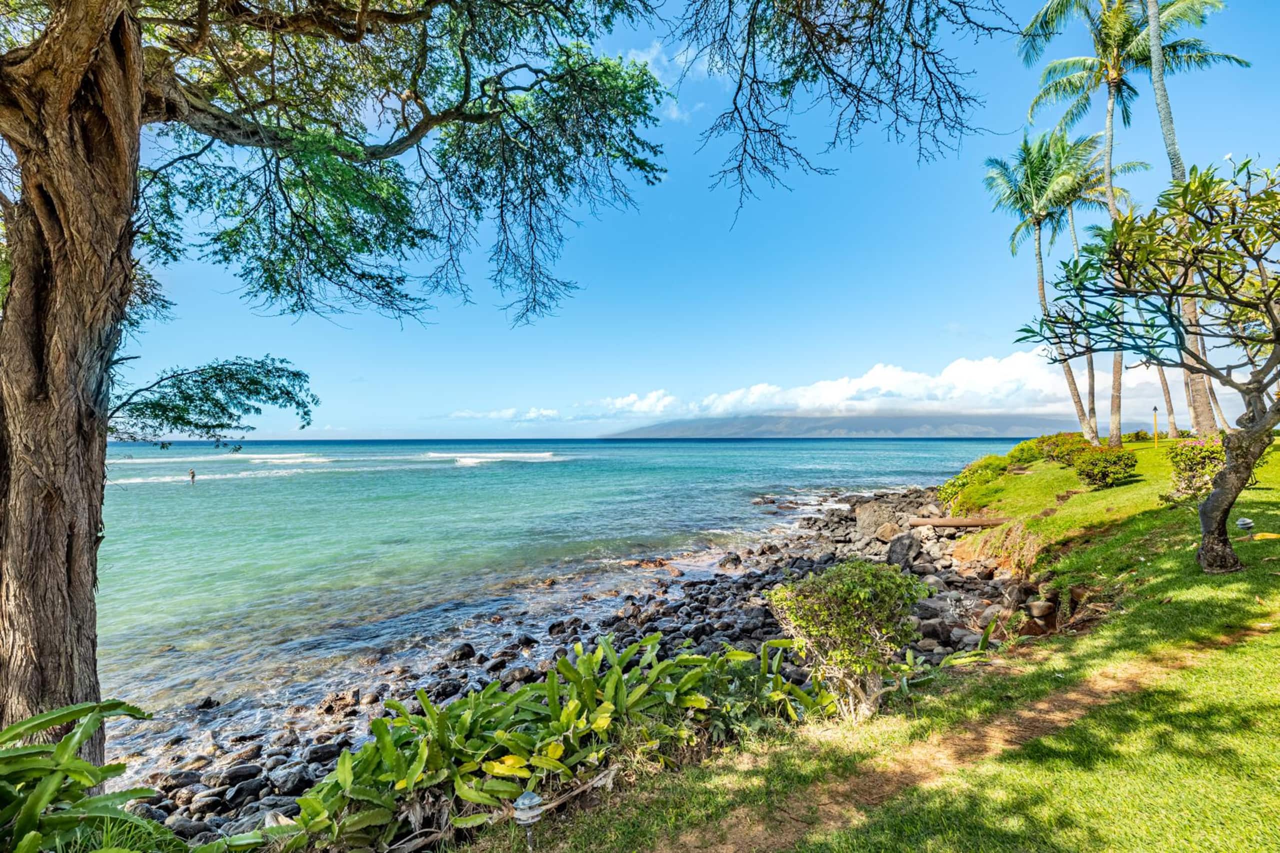 Condo in Lahaina · ★4.8 · 1 bedroom · 1 bed · 1 bath - Image 33