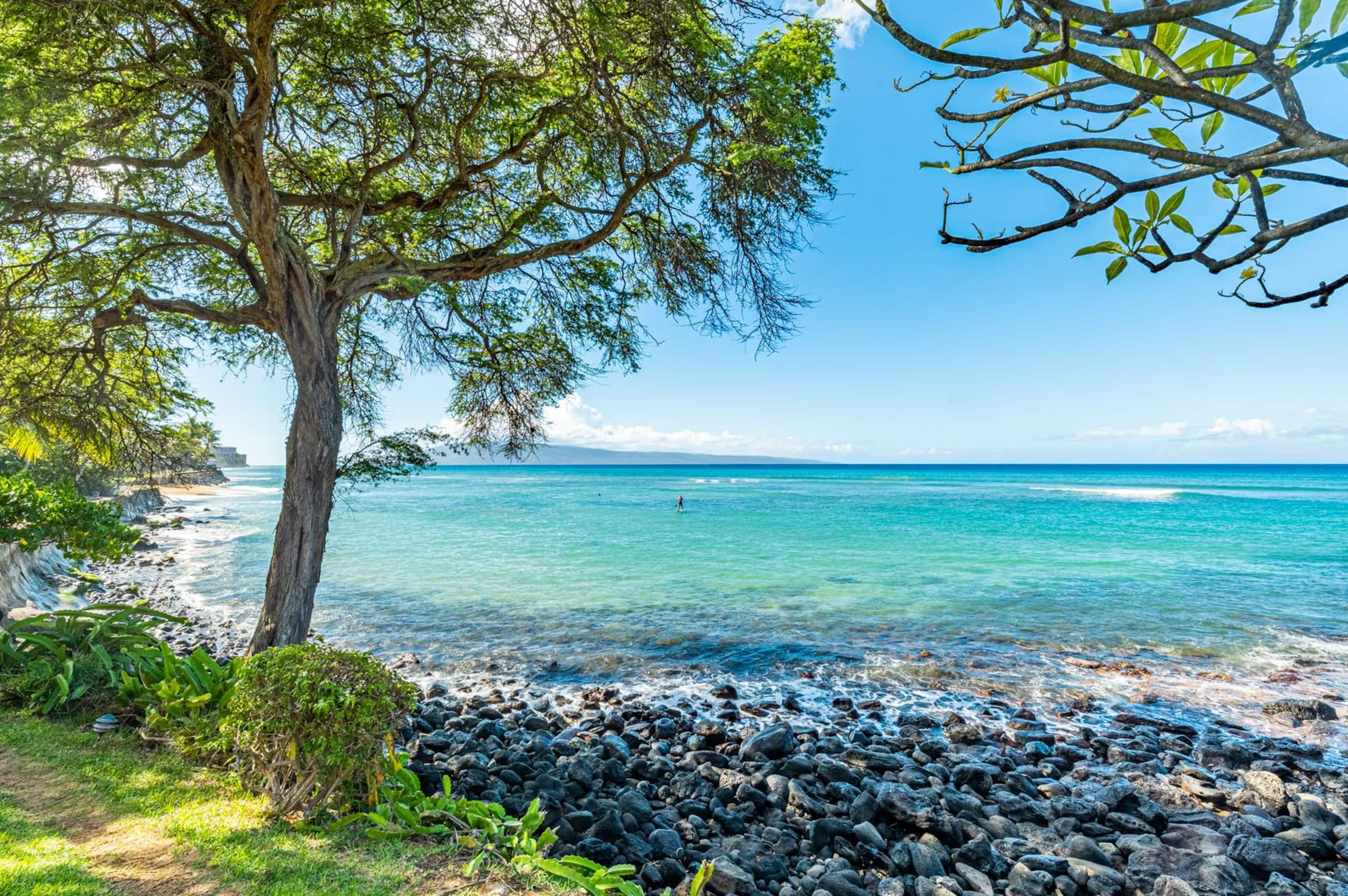 Condo in Lahaina · ★4.8 · 1 bedroom · 1 bed · 1 bath - Image 32