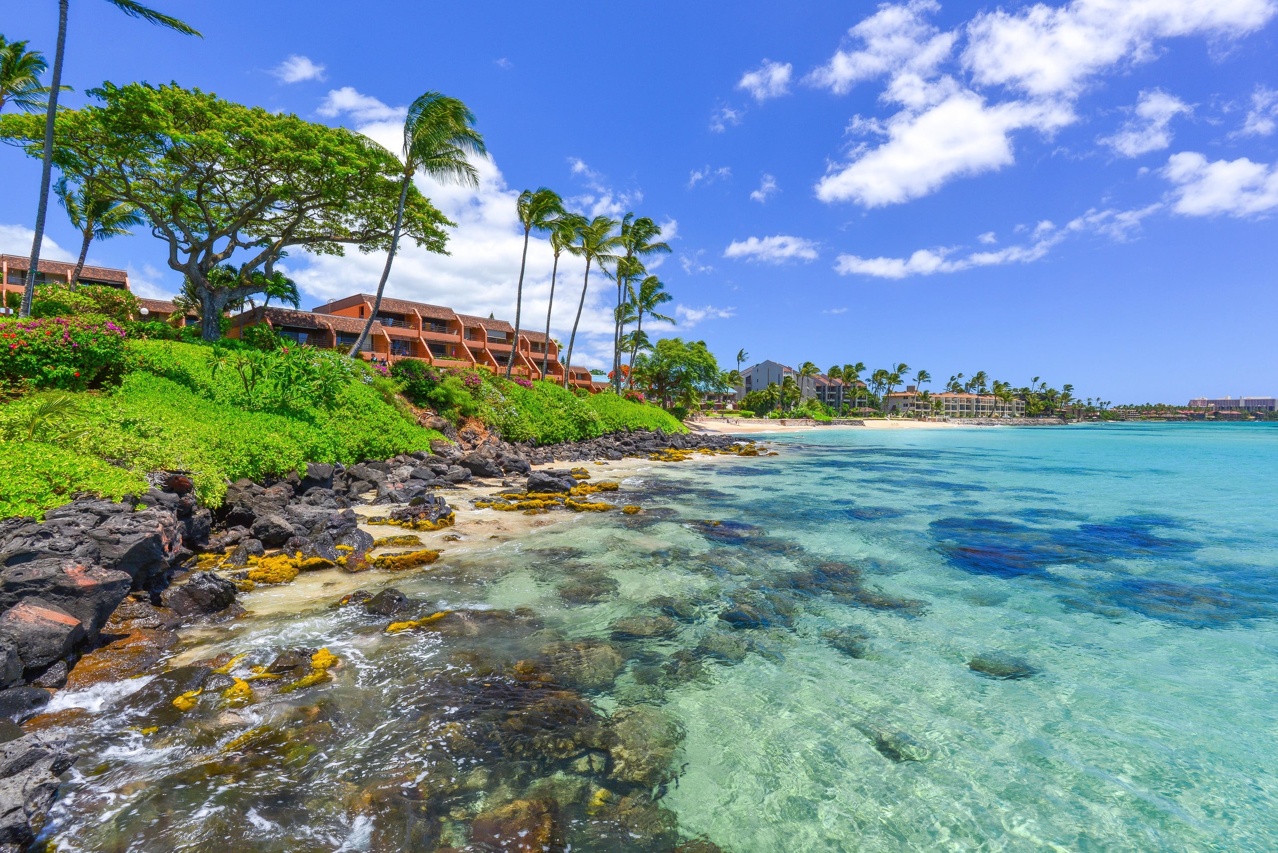 Condo in Lahaina · ★4.8 · 1 bedroom · 1 bed · 1 bath - Image 22