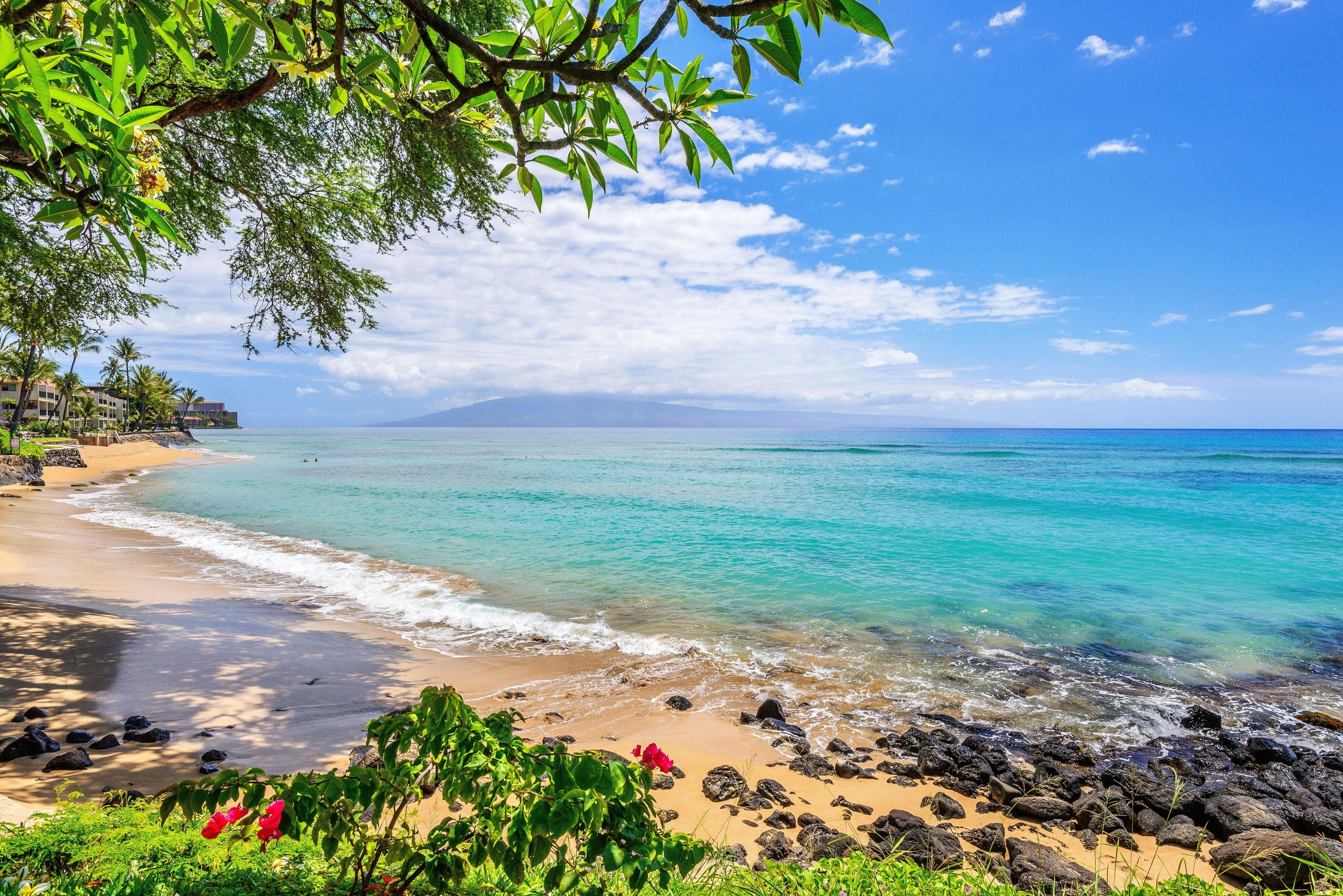 Condo in Lahaina · ★4.8 · 1 bedroom · 1 bed · 1 bath - Image 18