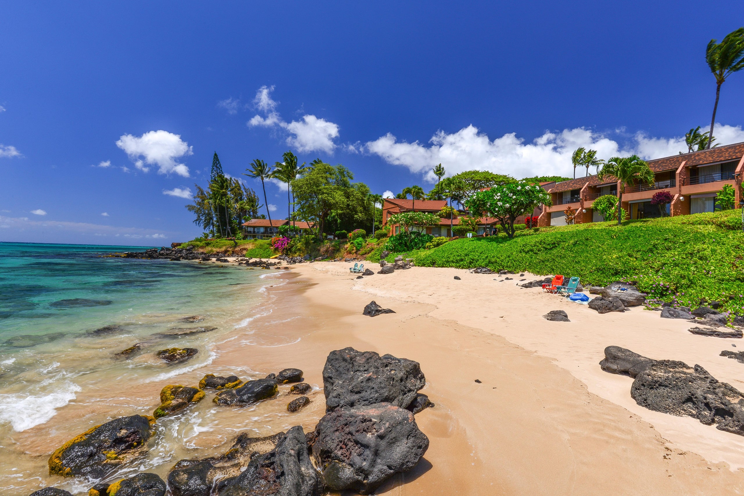 Condo in Lahaina · ★4.8 · 1 bedroom · 1 bed · 1 bath - Image 20