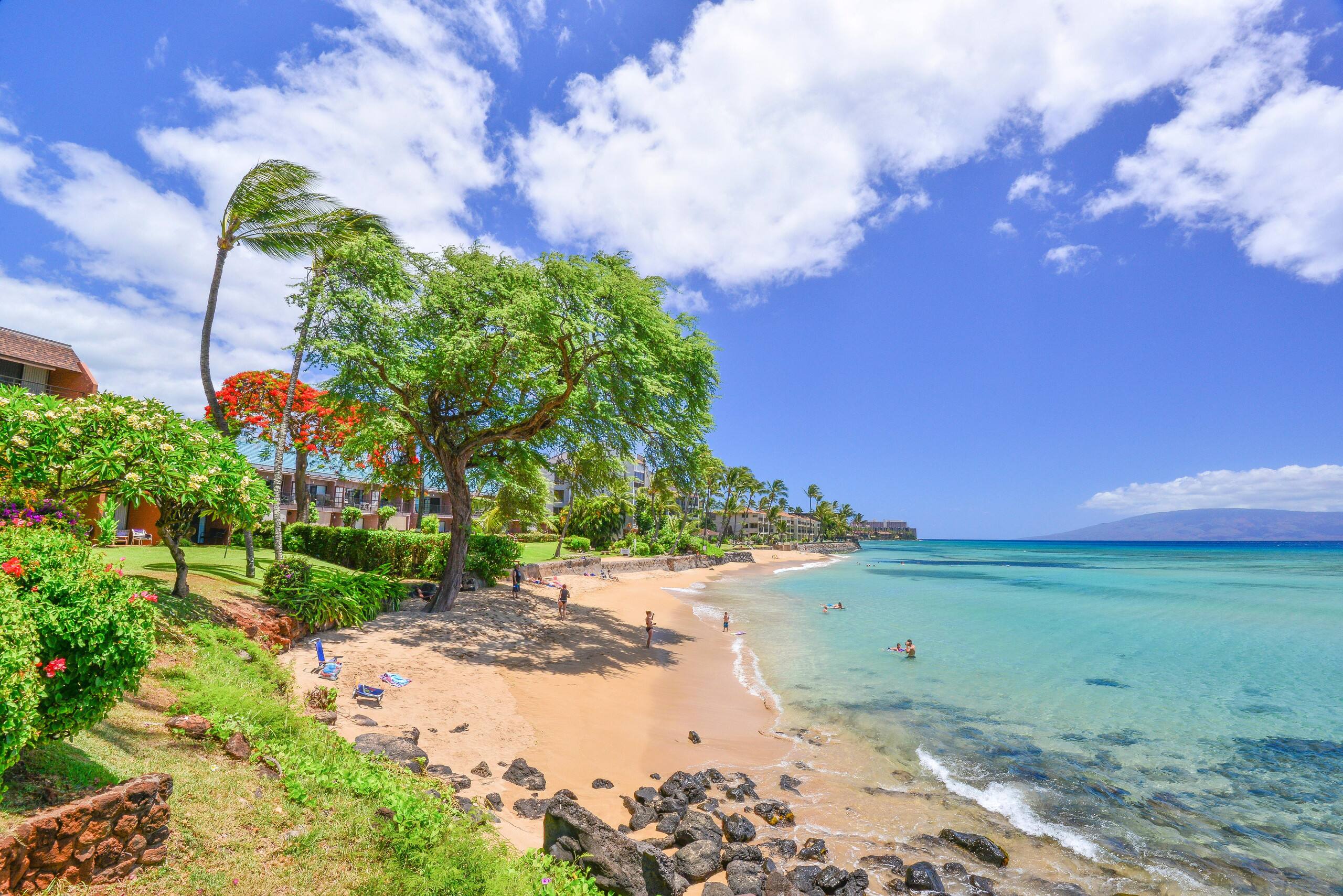 Condo in Lahaina · ★4.8 · 1 bedroom · 1 bed · 1 bath - Image 17